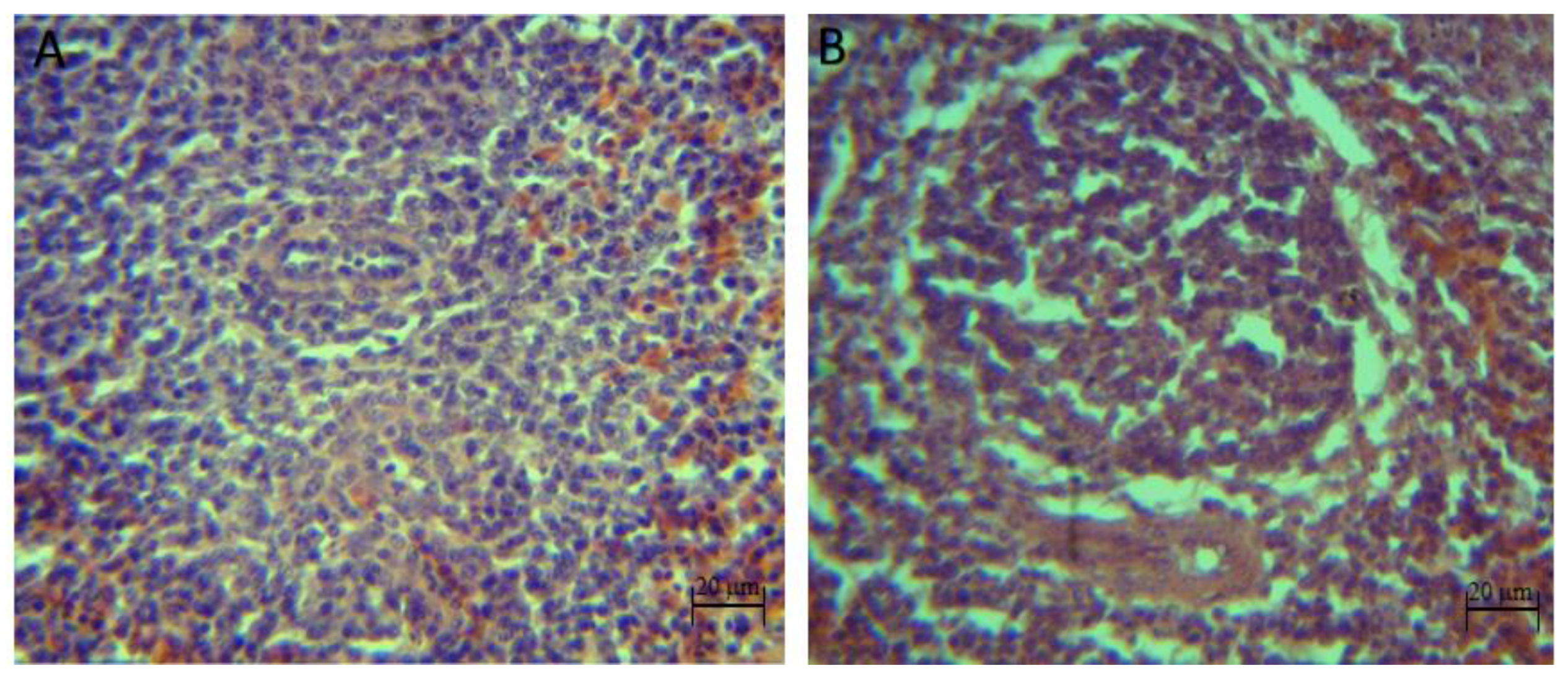 Animals 10 00886 g003