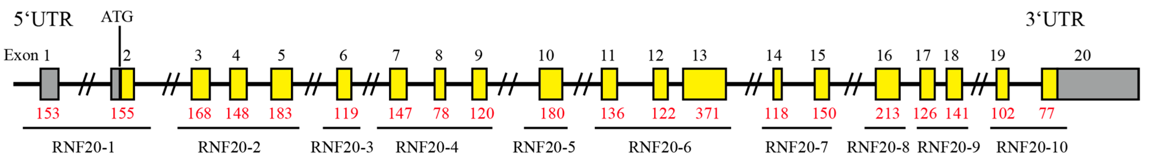 Animals 10 00888 g001 Animals 10 00888 g001