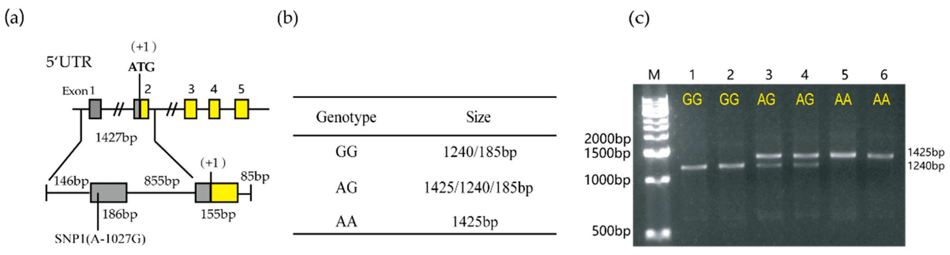 Animals 10 00888 g006 Animals 10 00888 g006