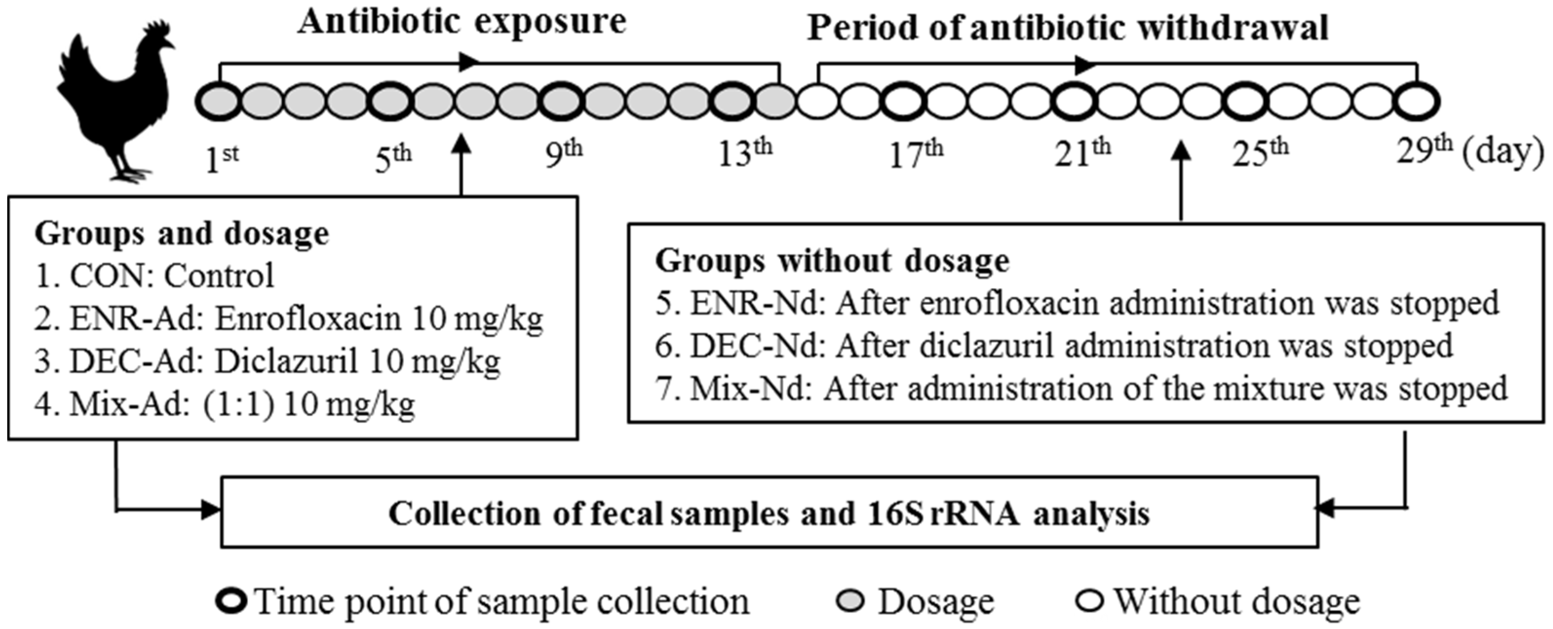 Animals 10 00896 g001