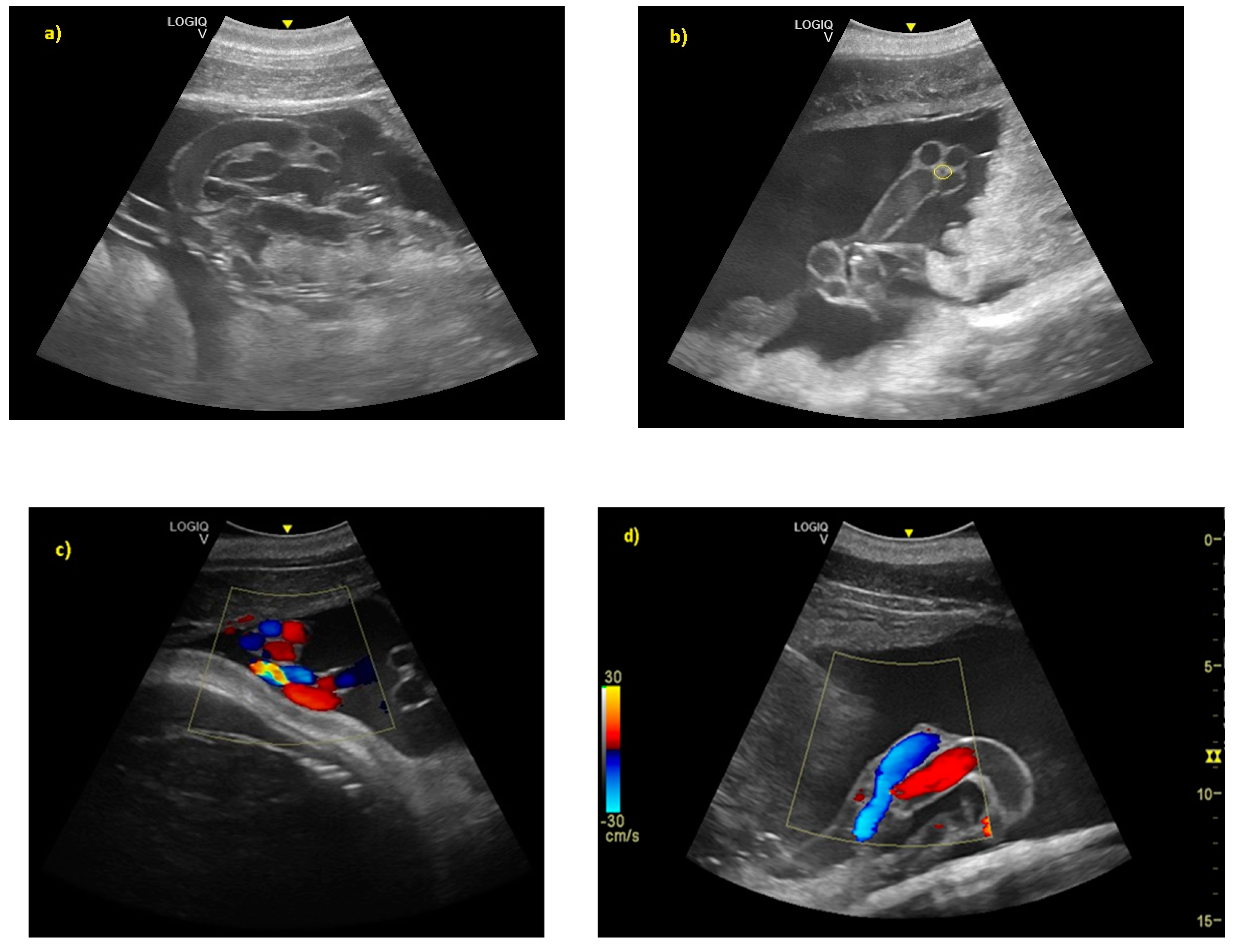 Animals 10 00908 g005 Animals 10 00908 g005