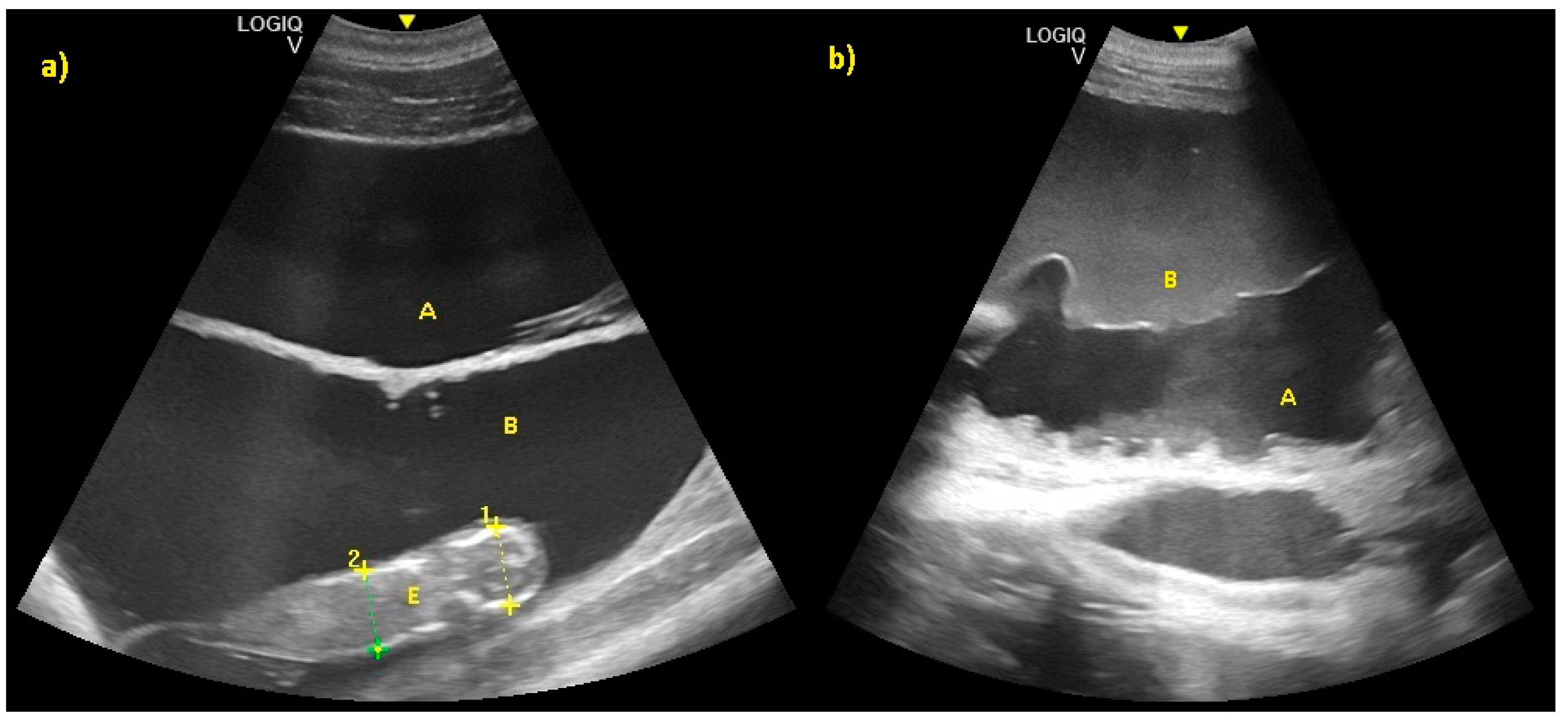 Animals 10 00908 g011 Animals 10 00908 g011