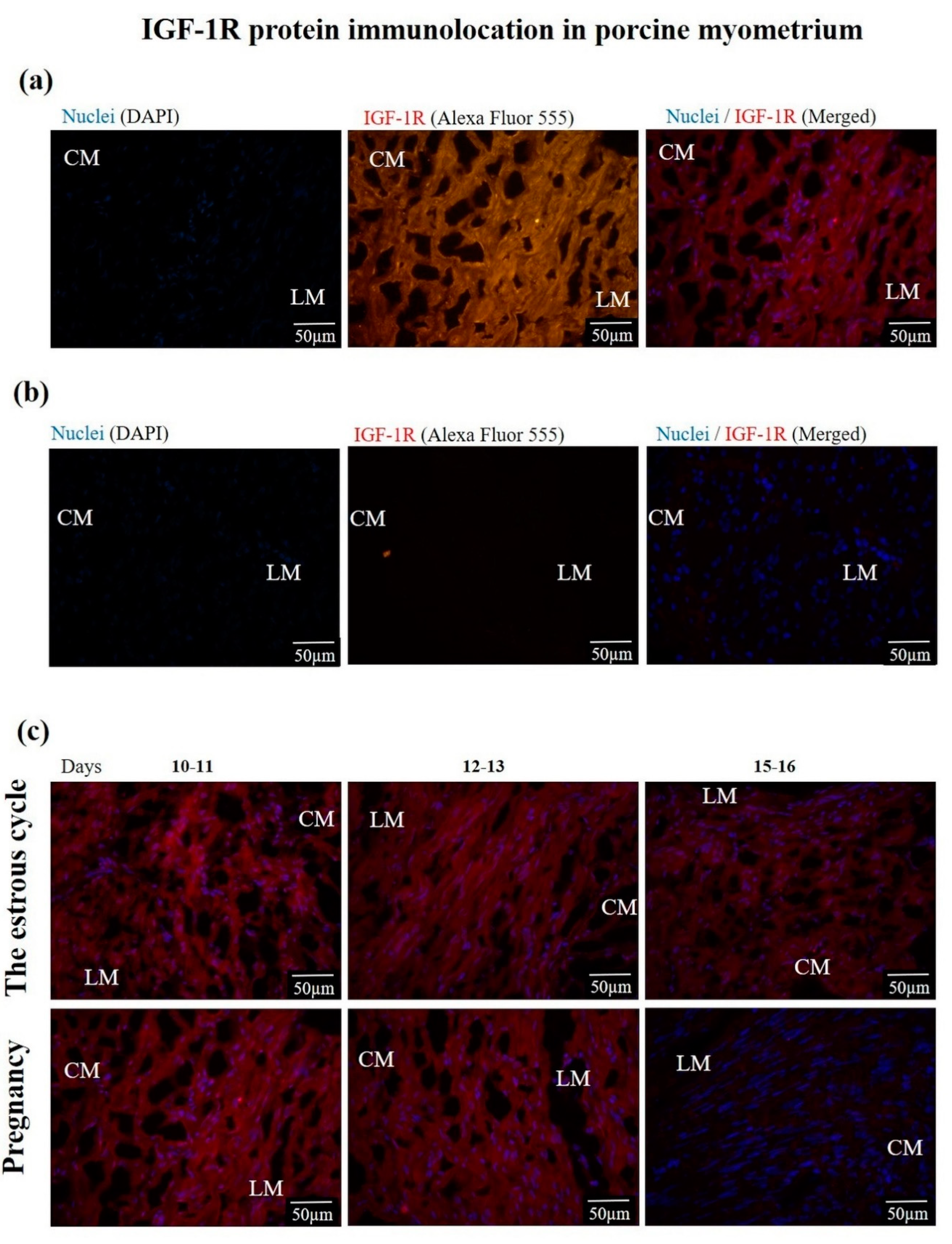 Animals 10 00915 g003 Animals 10 00915 g003