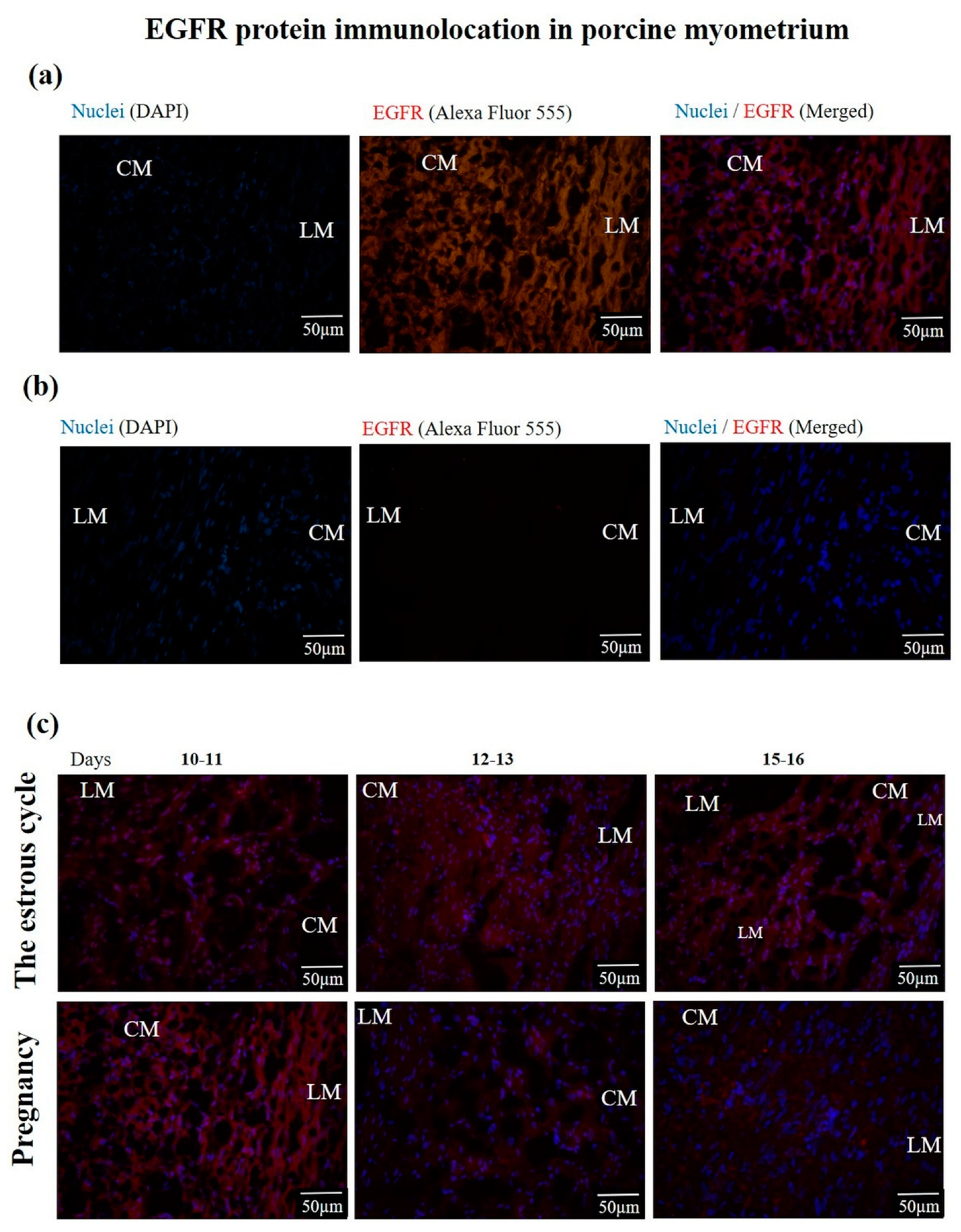 Animals 10 00915 g004 Animals 10 00915 g004