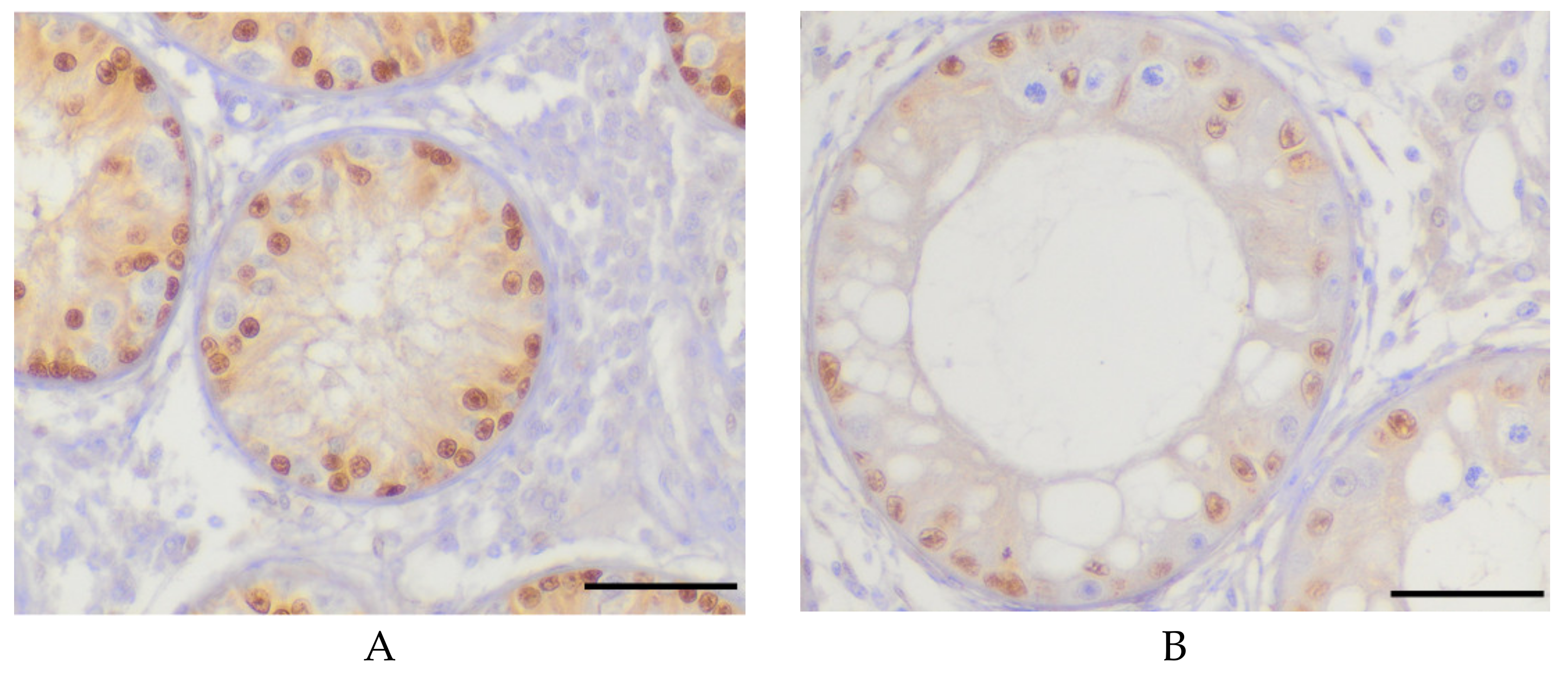 Animals 10 00918 g002