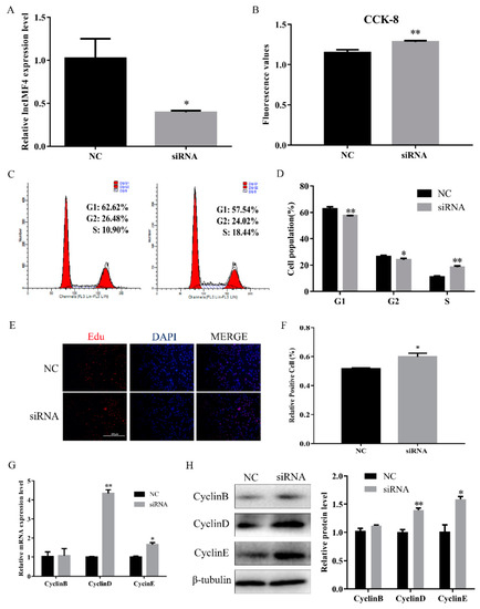 Animals | Free Full-Text | A Newly Identified LncRNA LncIMF4 Animals | Free Full-Text | A Newly Identified LncRNA LncIMF4