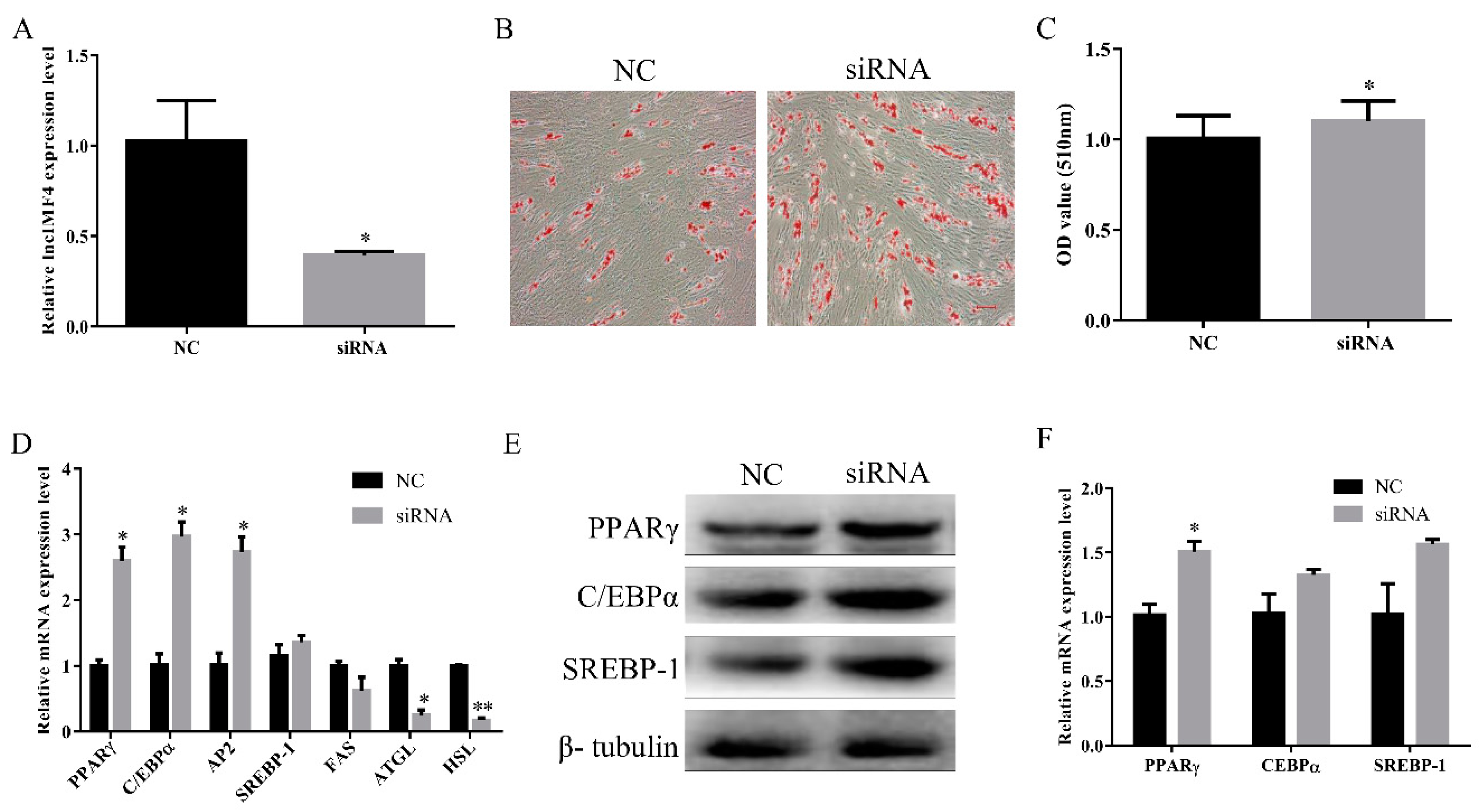 Animals 10 00926 g004 Animals 10 00926 g004