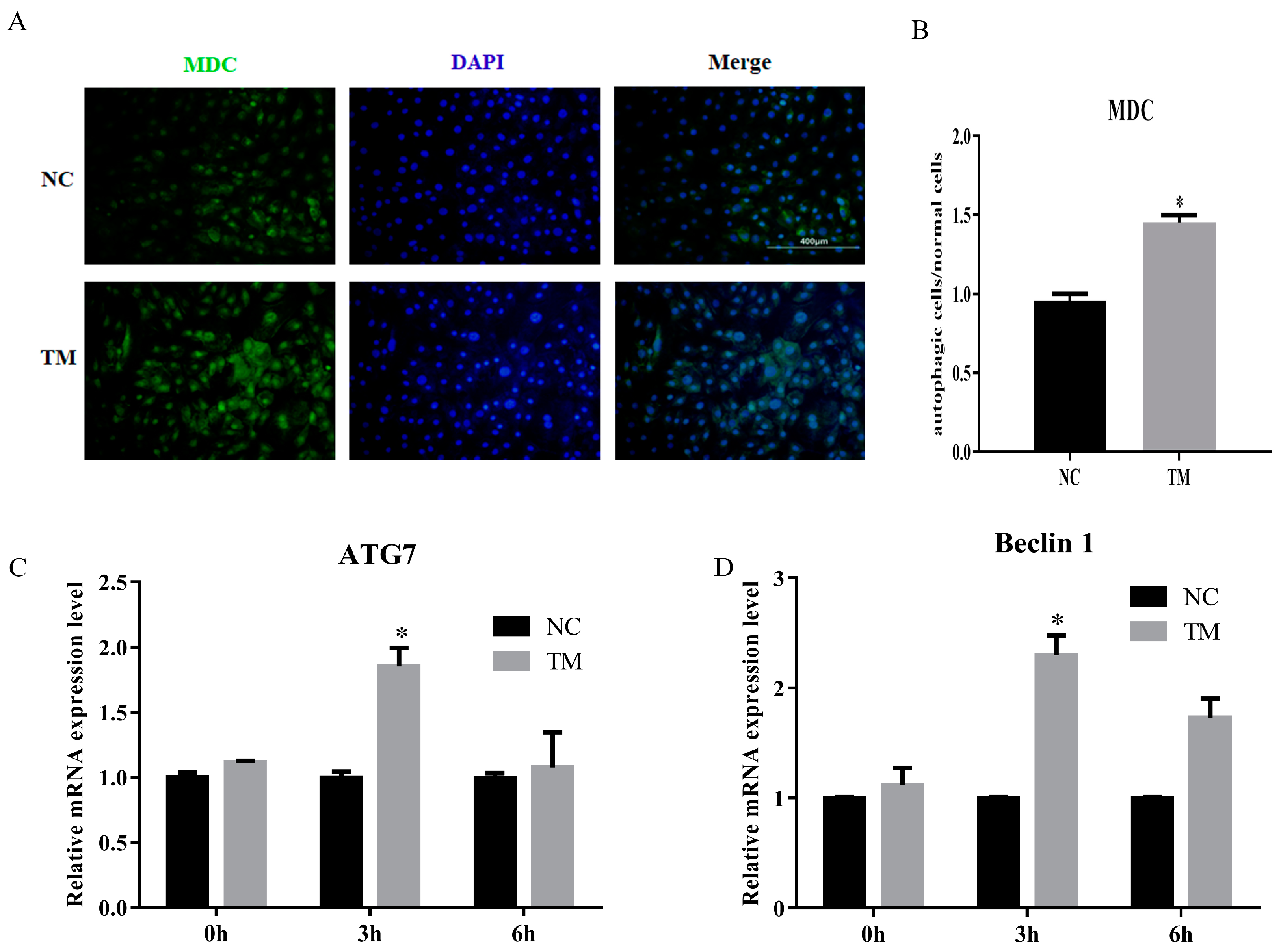 Animals 10 00926 g005 Animals 10 00926 g005