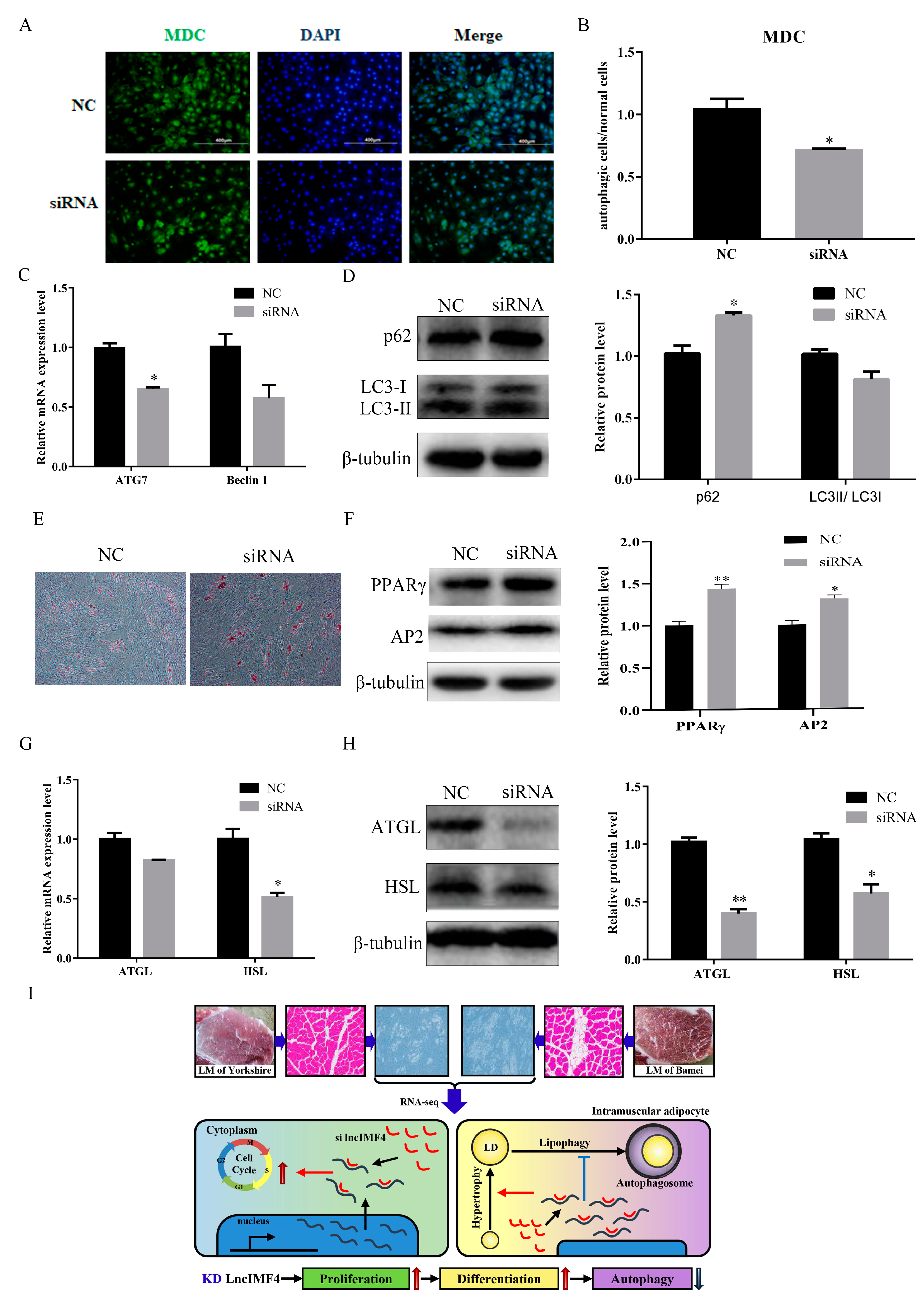 Animals 10 00926 g006 Animals 10 00926 g006
