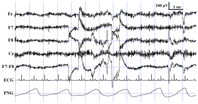 Animals 10 00927 i001