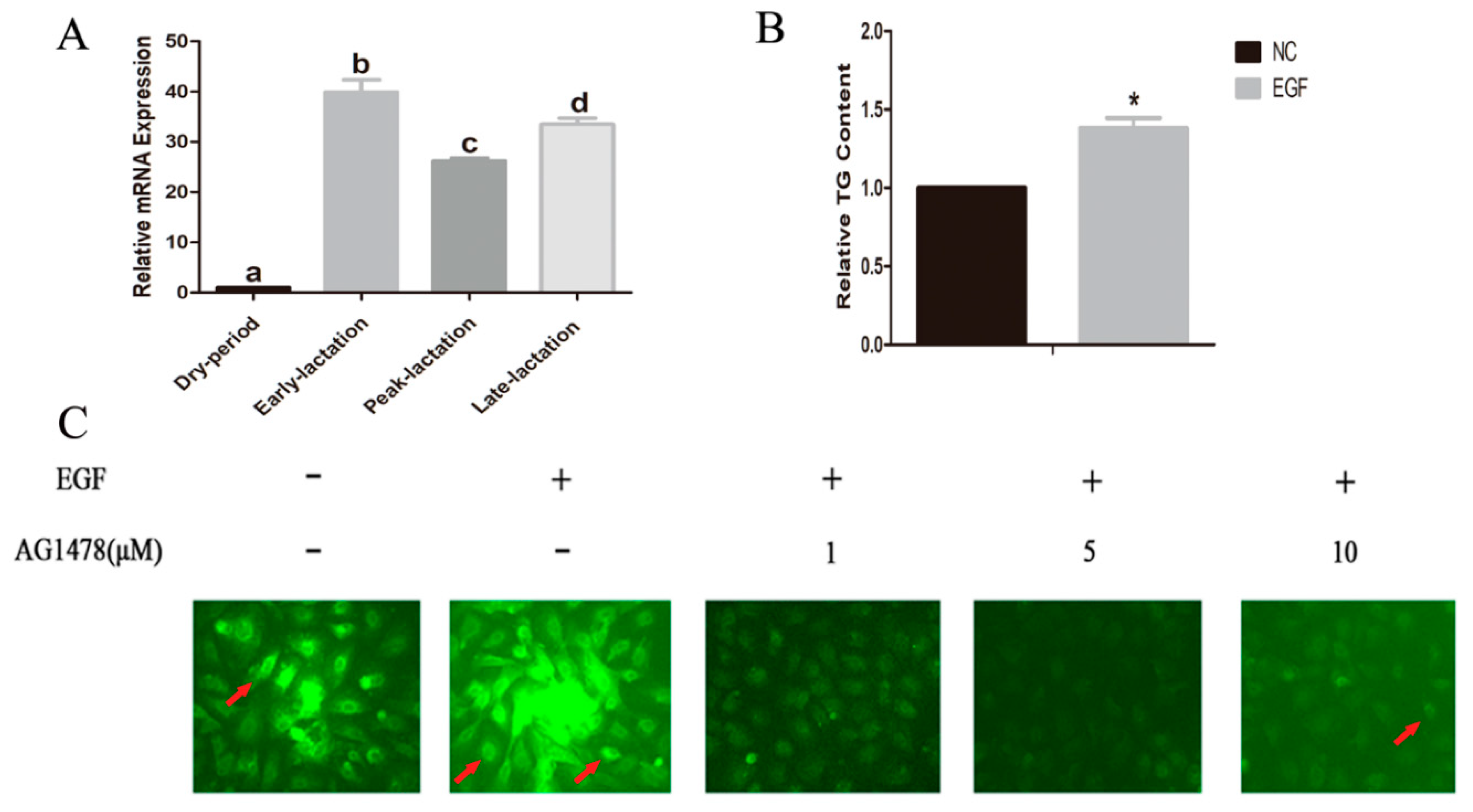 Animals 10 00930 g001 Animals 10 00930 g001