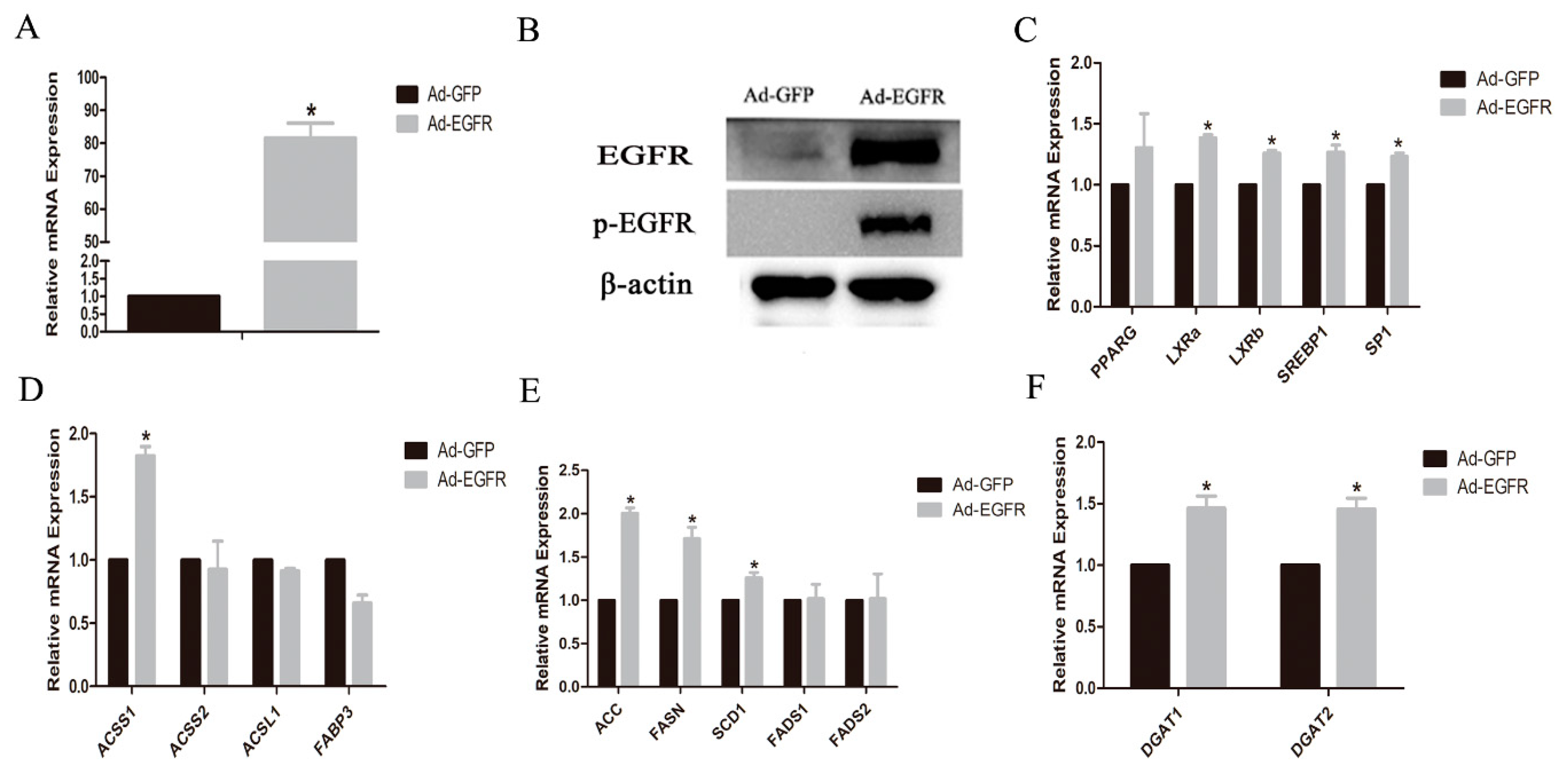 Animals 10 00930 g003 Animals 10 00930 g003