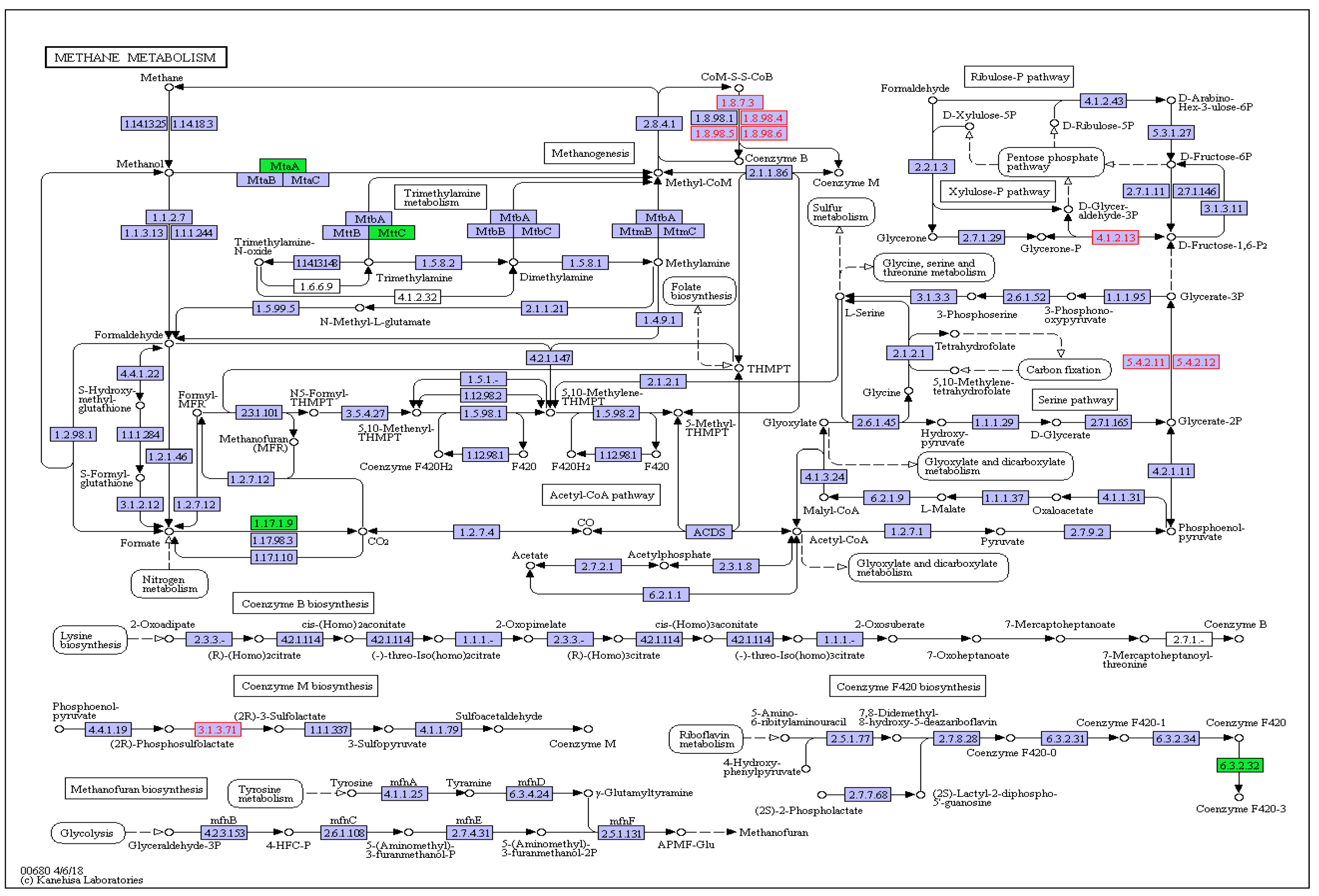 Animals 10 00935 g004 Animals 10 00935 g004