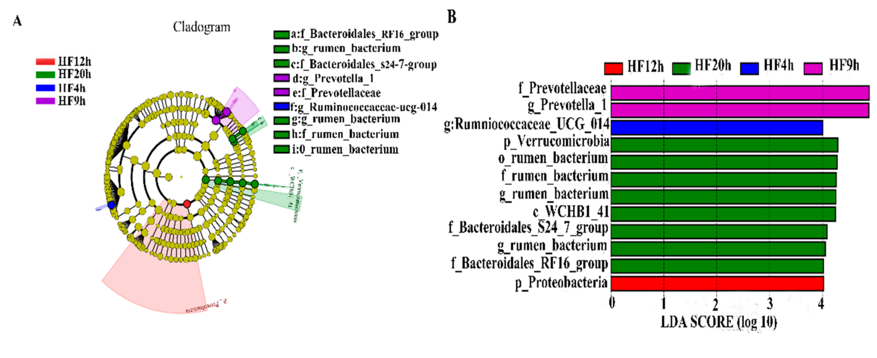 Animals 10 00957 g005a
