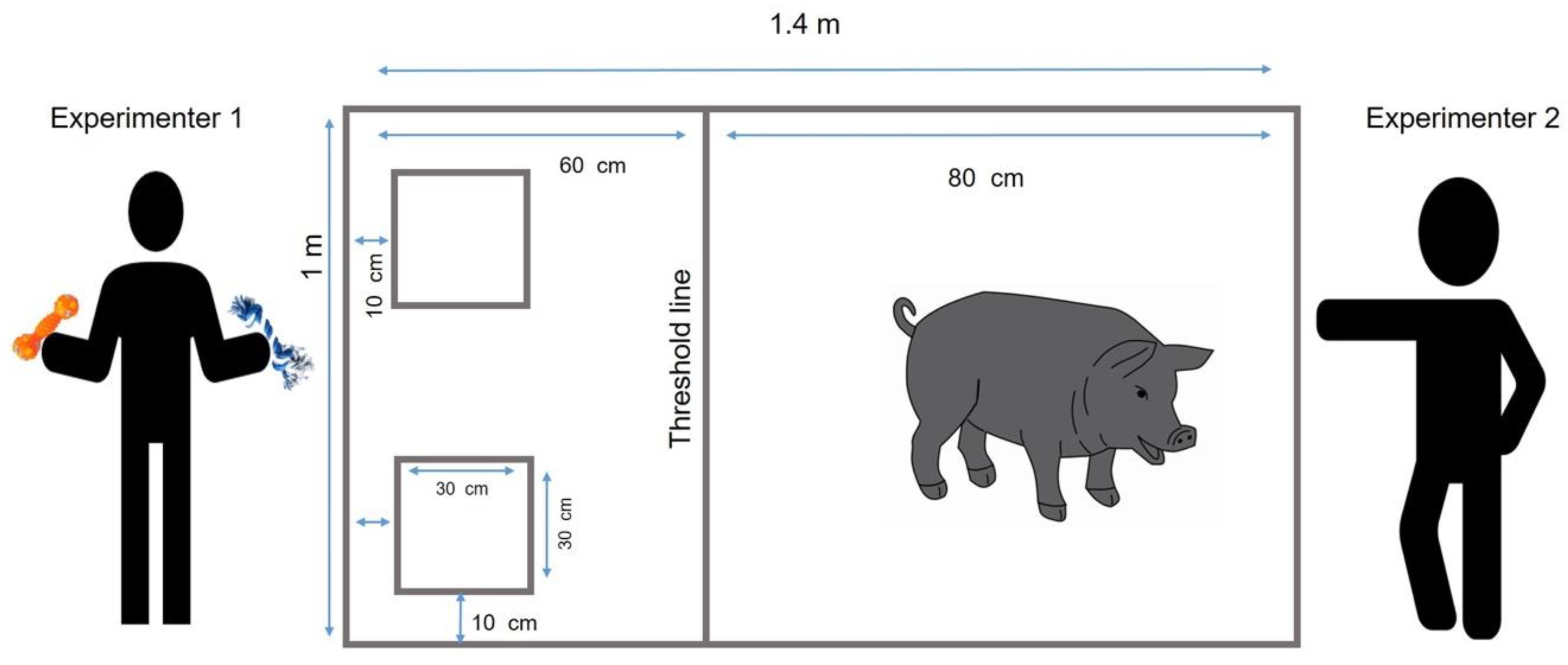 What is a clicker and why use one? An introduction to event markers