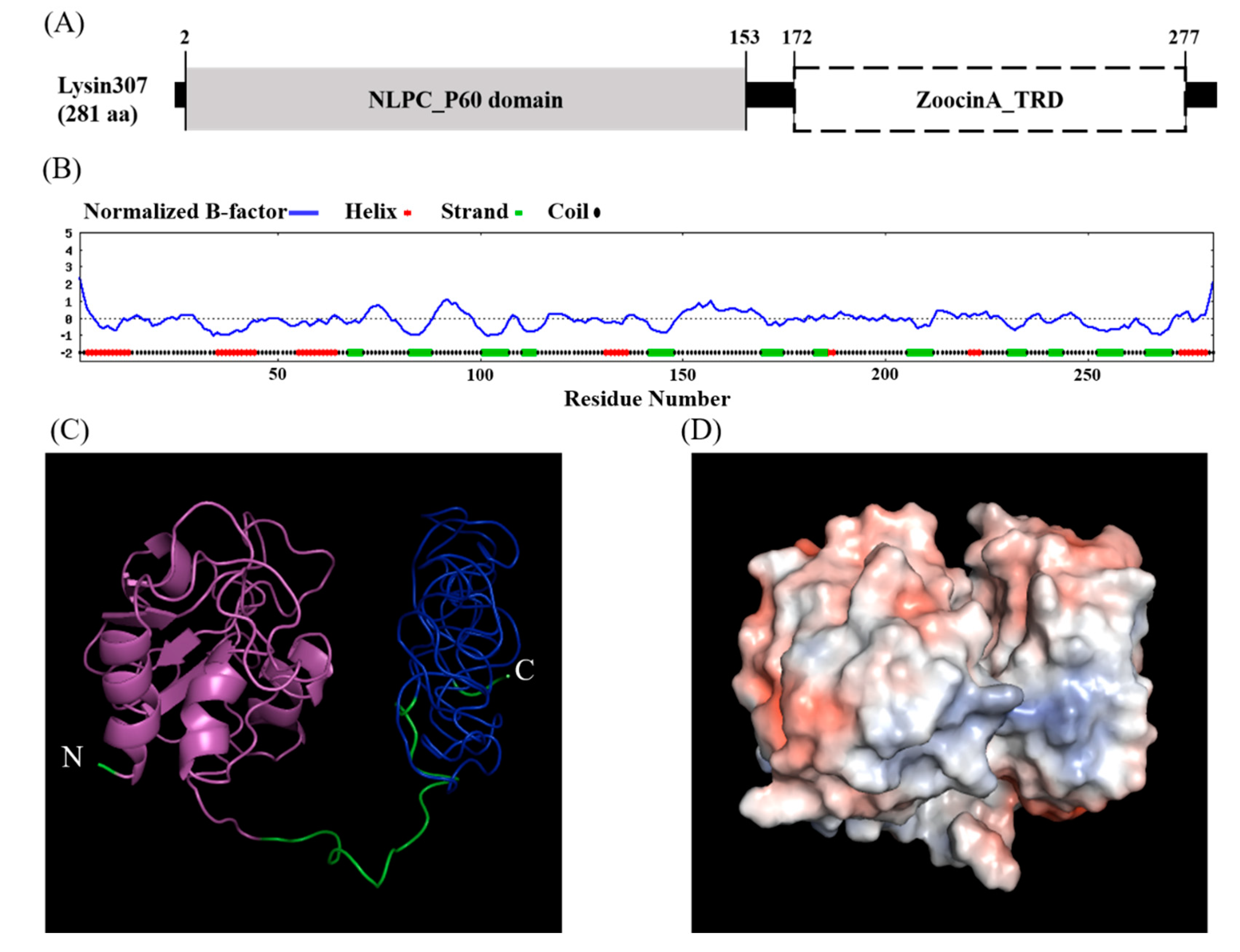 Animals 10 00963 g001