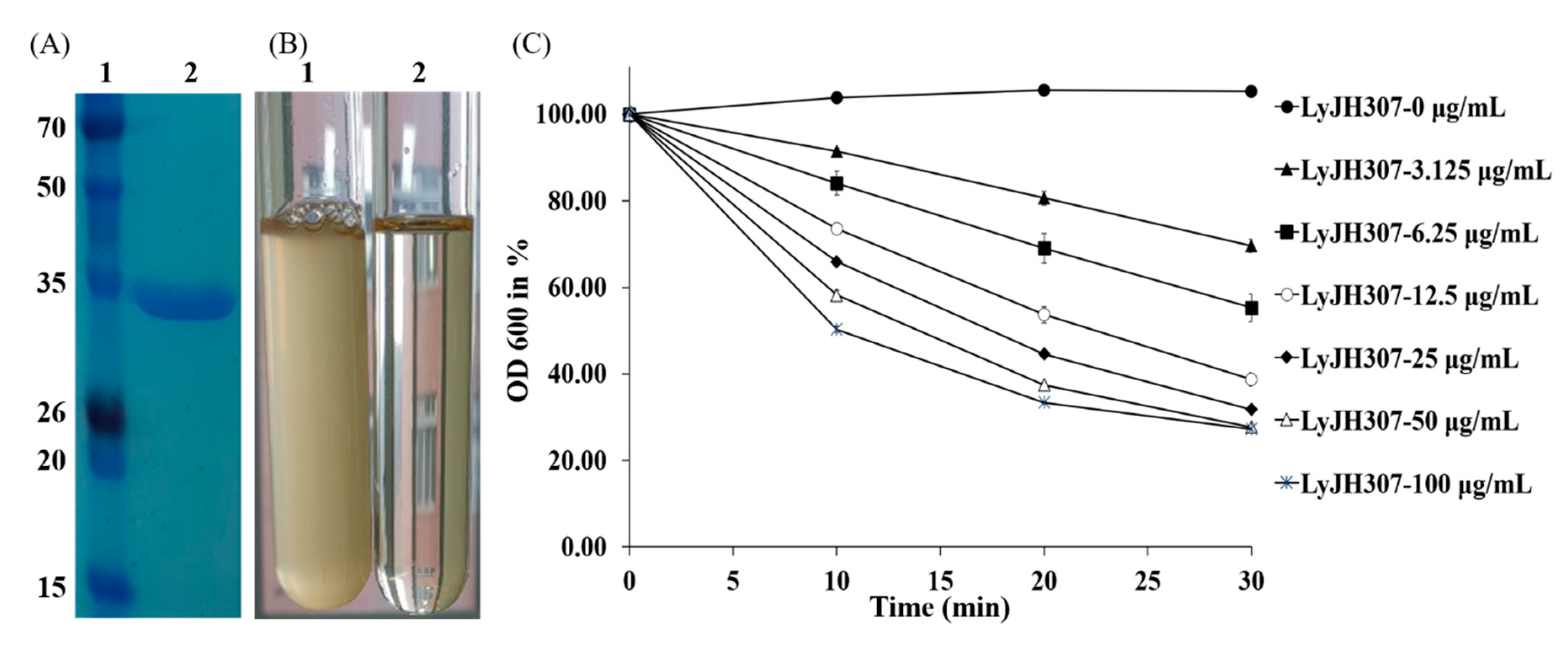 Animals 10 00963 g002