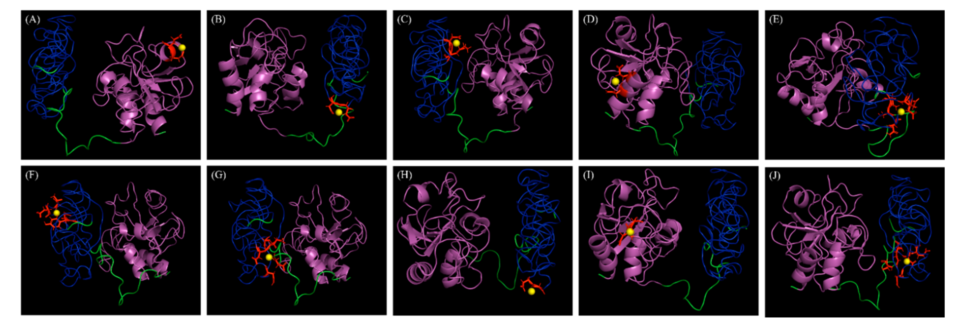 Animals 10 00963 g005