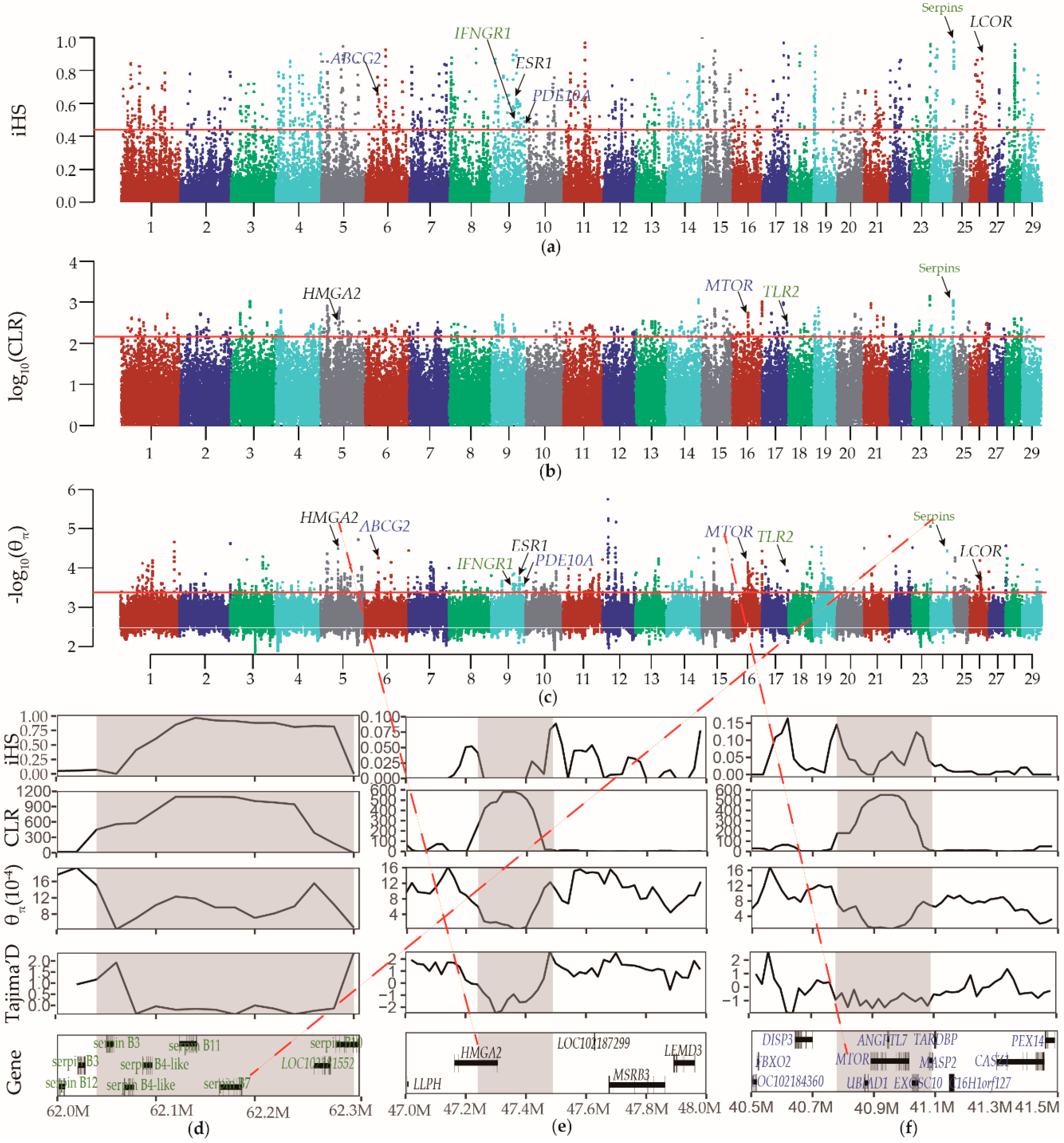 Animals 10 00994 g003