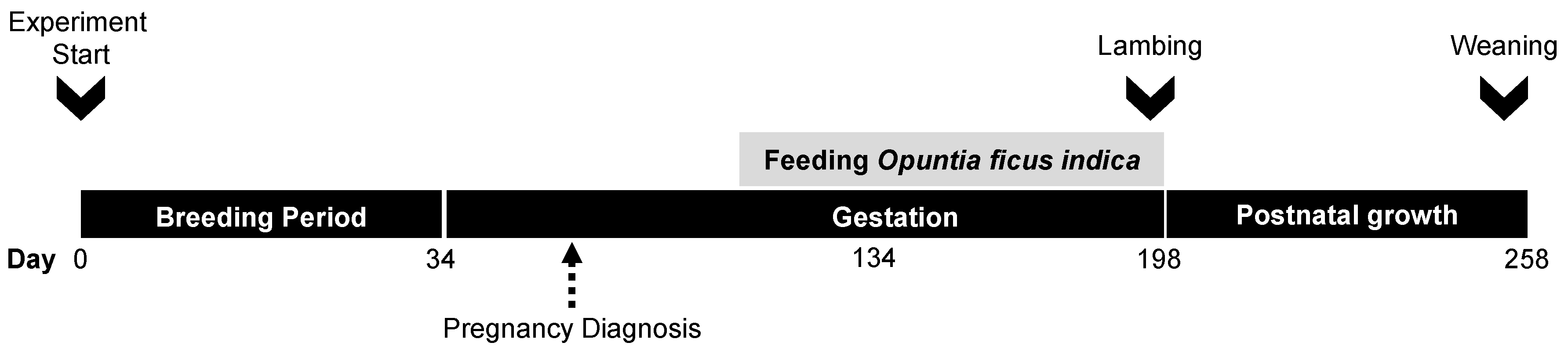 Animals 10 00995 g001 Animals 10 00995 g001