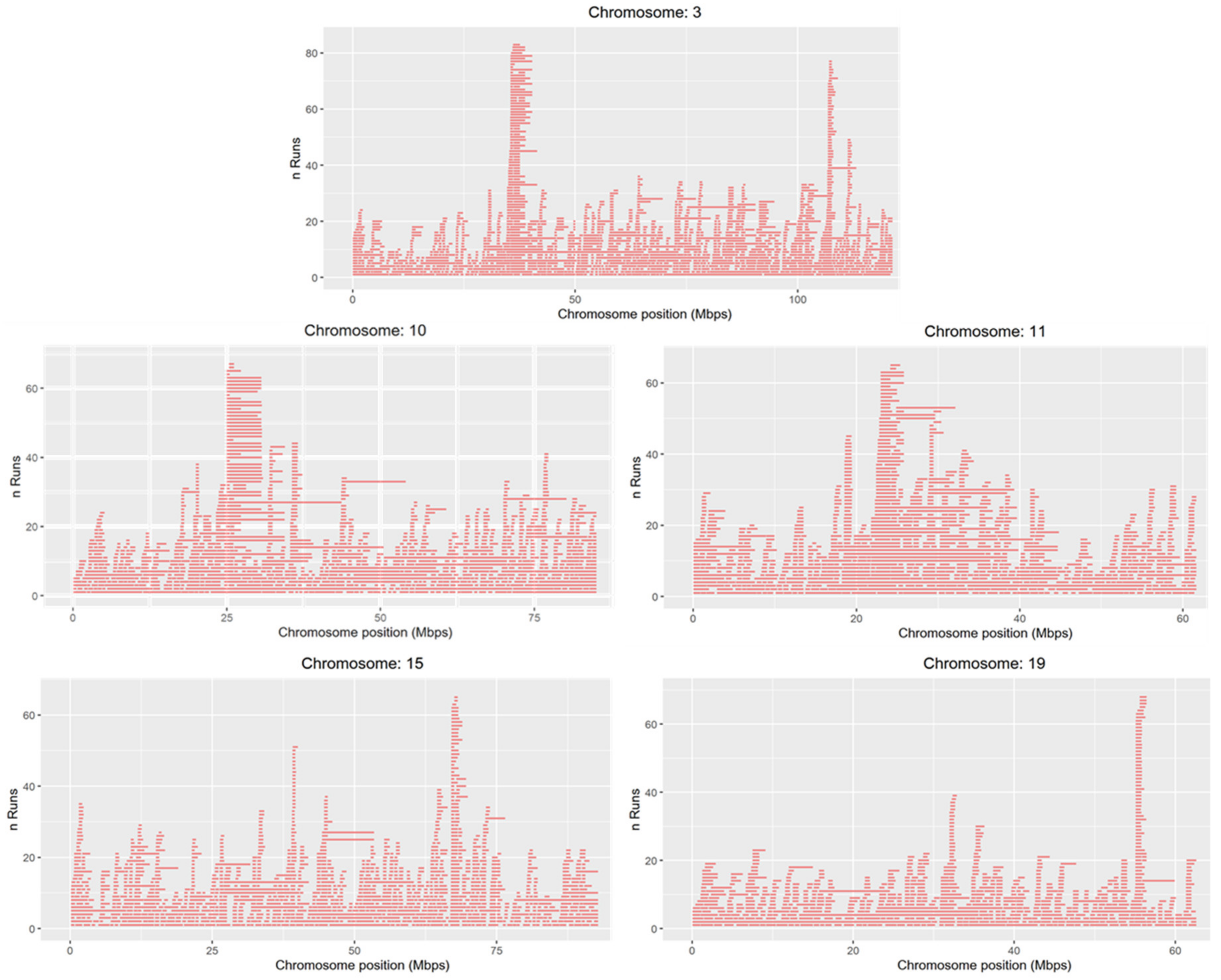 Animals Free Full Text Genetic Diversity And Signatures Of Selection In A Native Italian Horse Breed Based On Snp Data Html Animals Free Full Text Genetic Diversity And Signatures Of Selection In A Native Italian Horse Breed Based On Snp Data Html