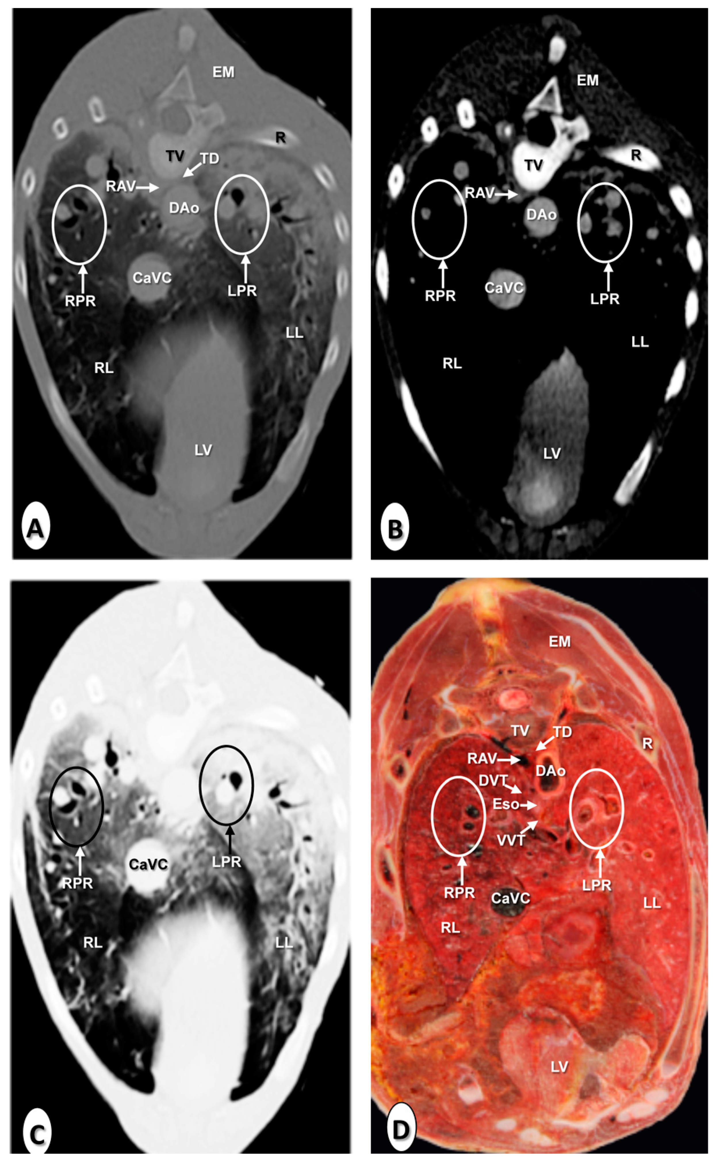 Animals 10 01045 g007