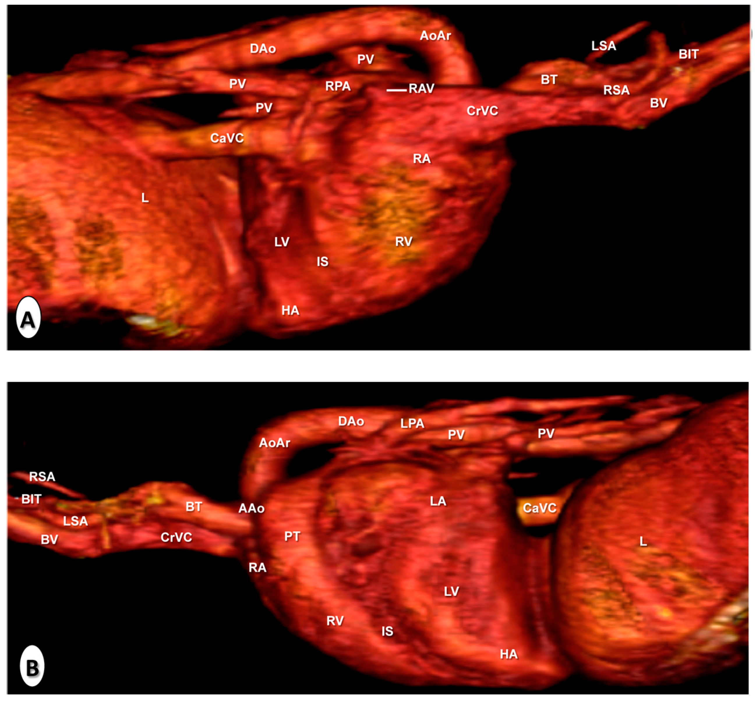 Animals 10 01045 g009