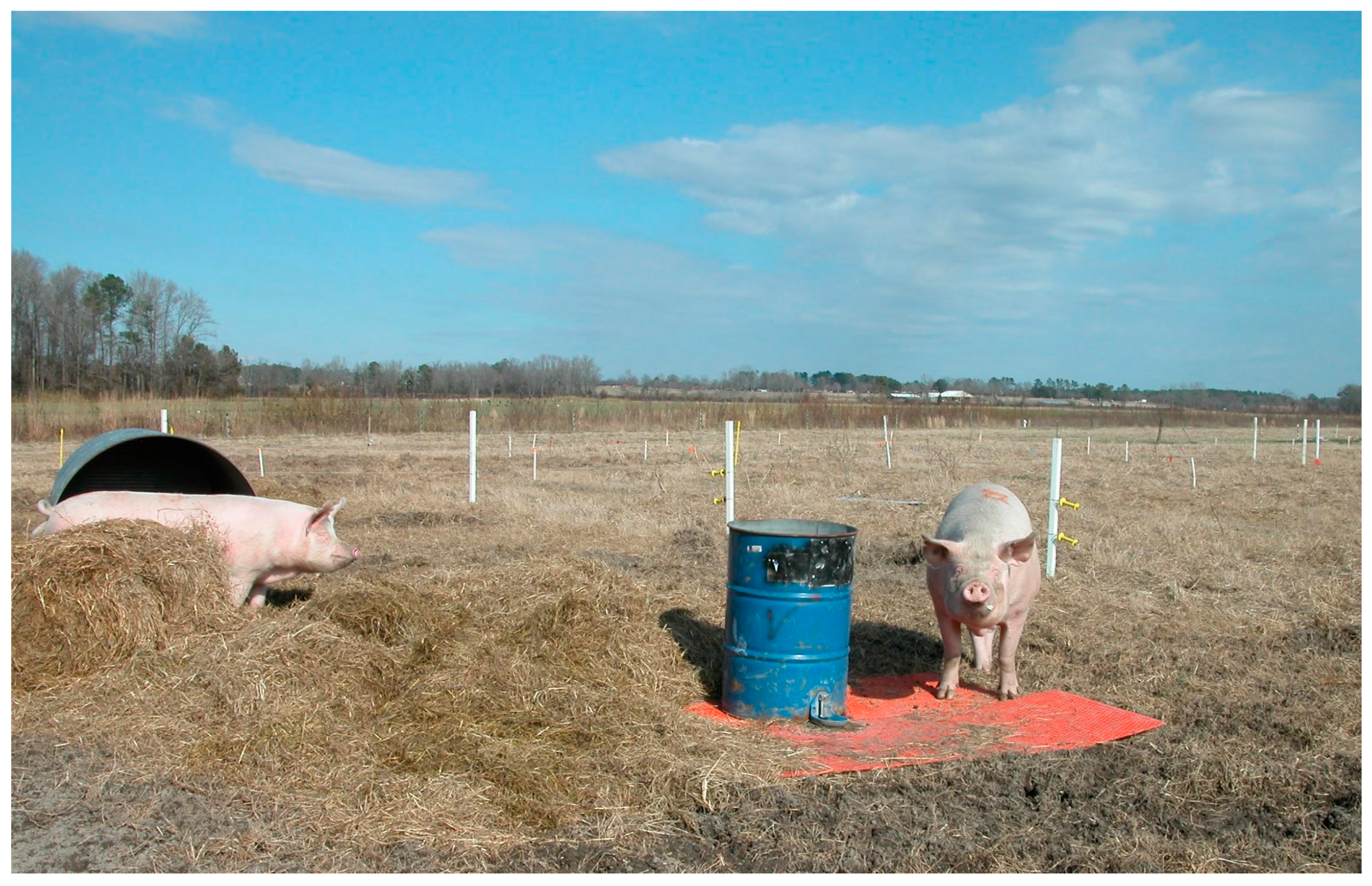 Animals | Free Full-Text | Sows-Gilts Stocking Rates and Their Environmental Impact in Rotationally Managed Bermudagrass Paddocks Animals | Free Full-Text | Sows-Gilts Stocking Rates and Their Environmental Impact in Rotationally Managed Bermudagrass Paddocks