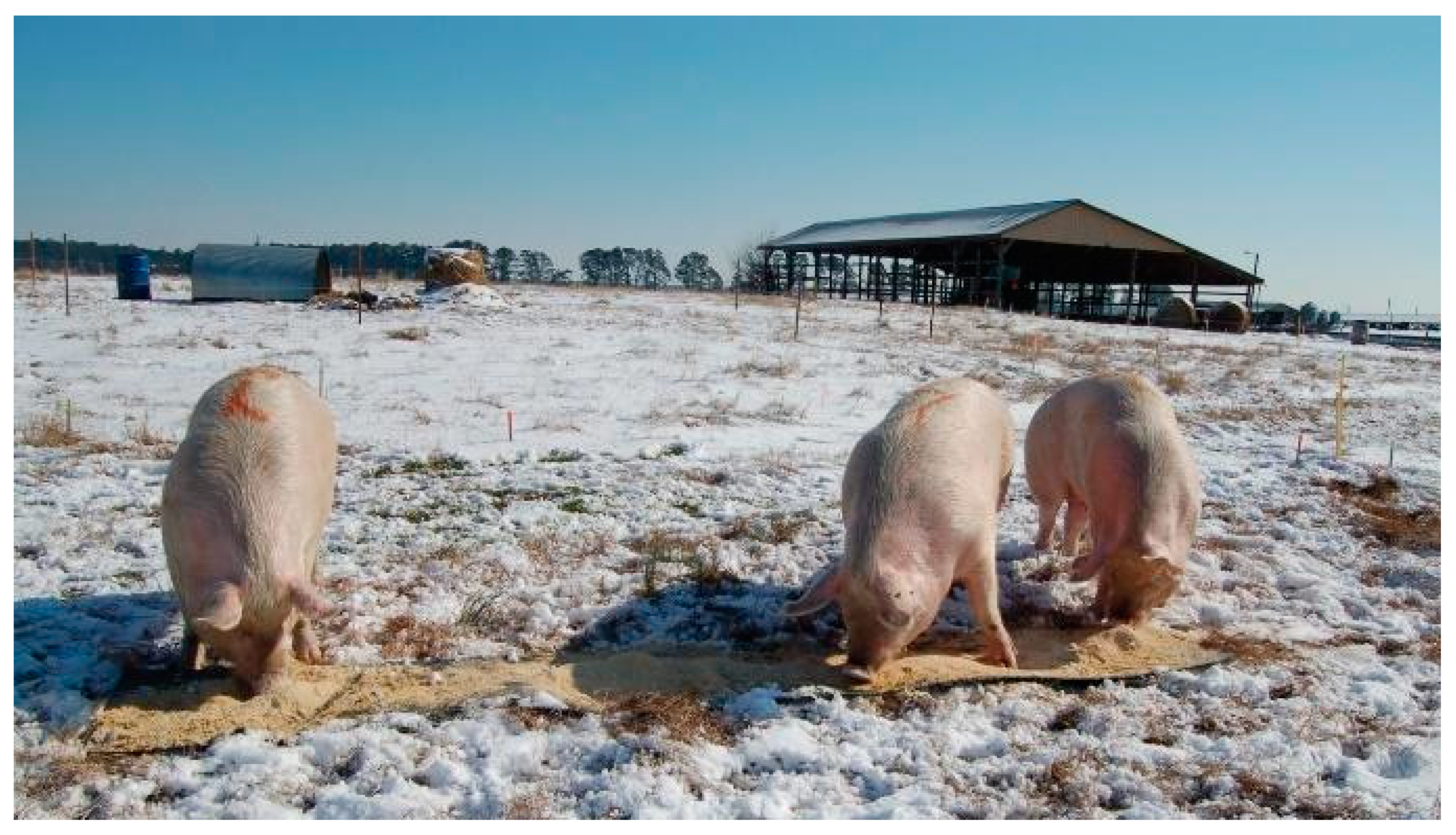 Animals 10 01046 g002