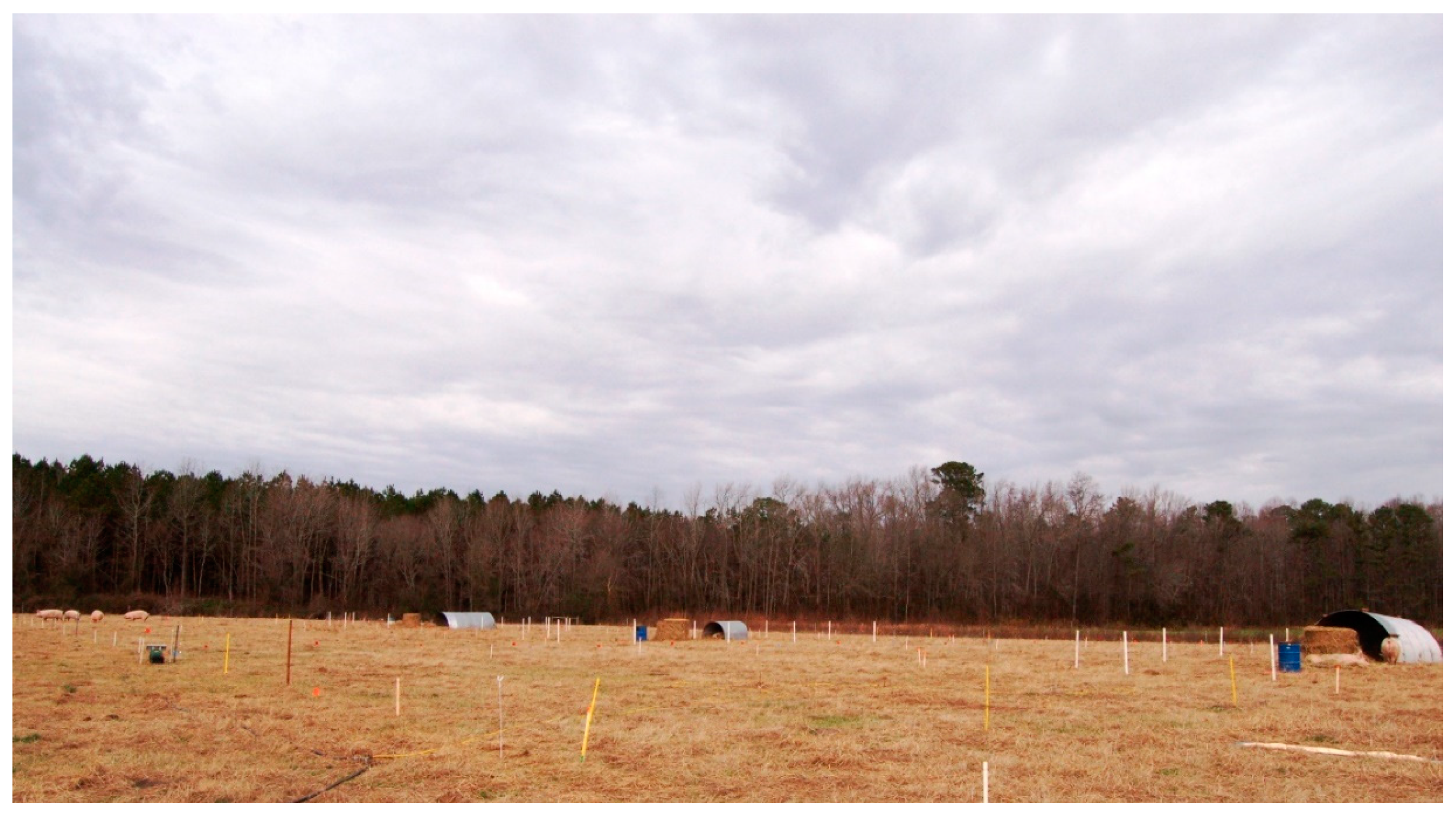 Animals 10 01046 g004