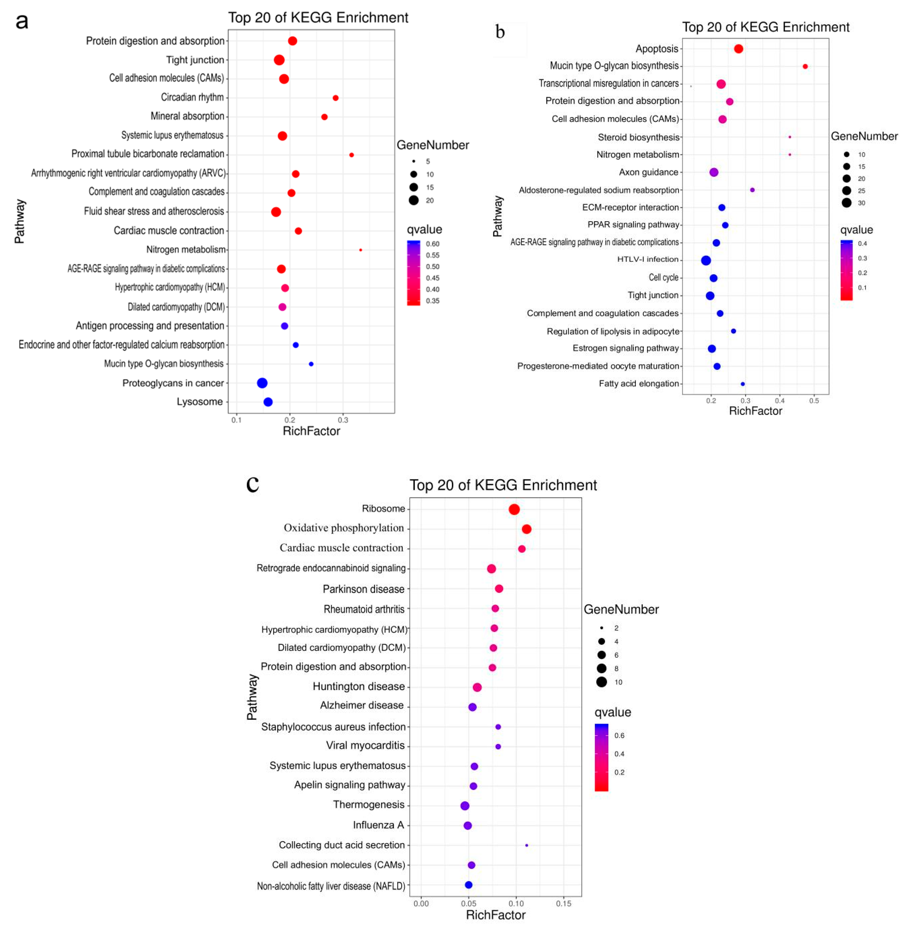 Animals 10 01058 g005 Animals 10 01058 g005