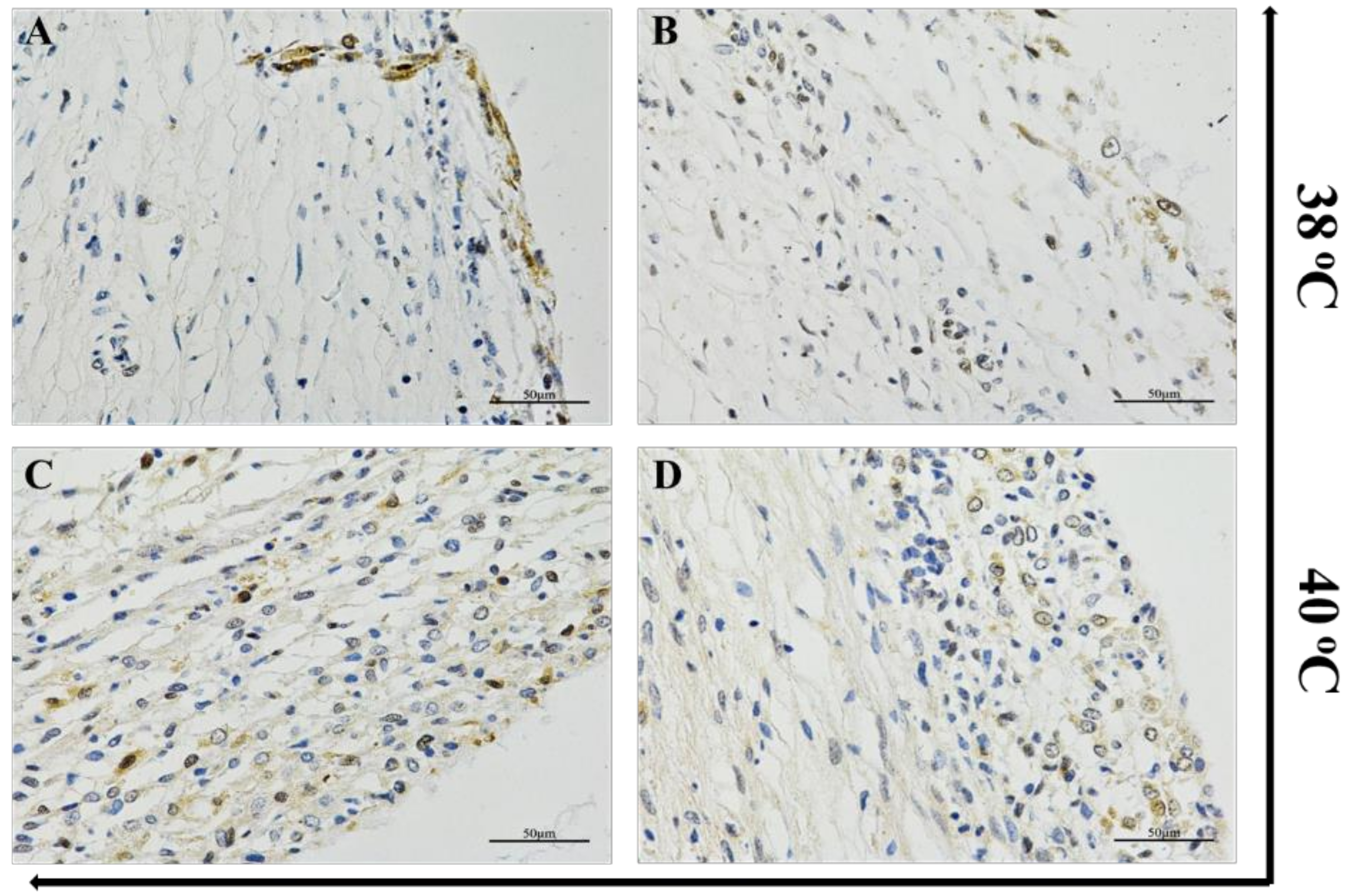 Animals 10 01060 g001