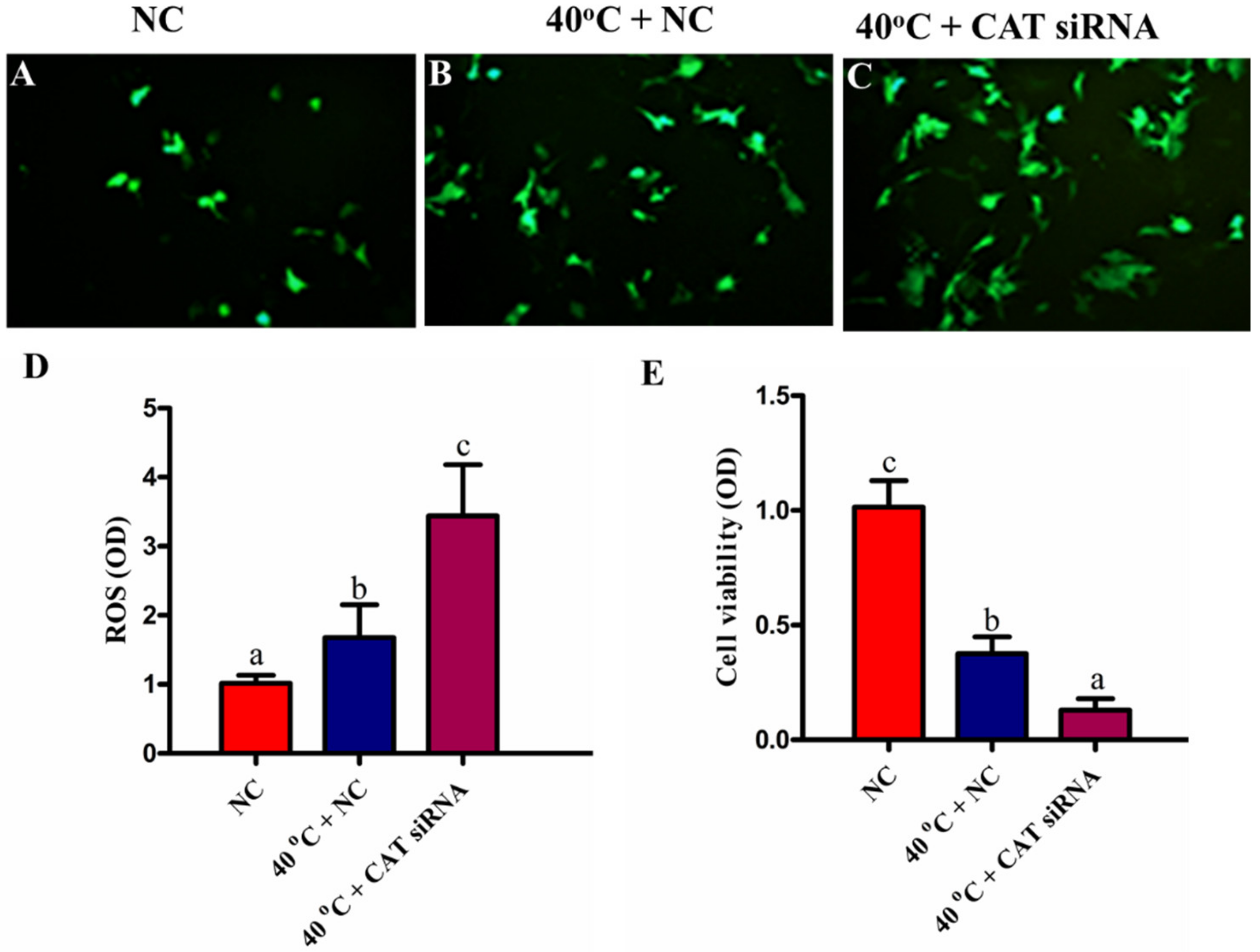 Animals 10 01060 g004