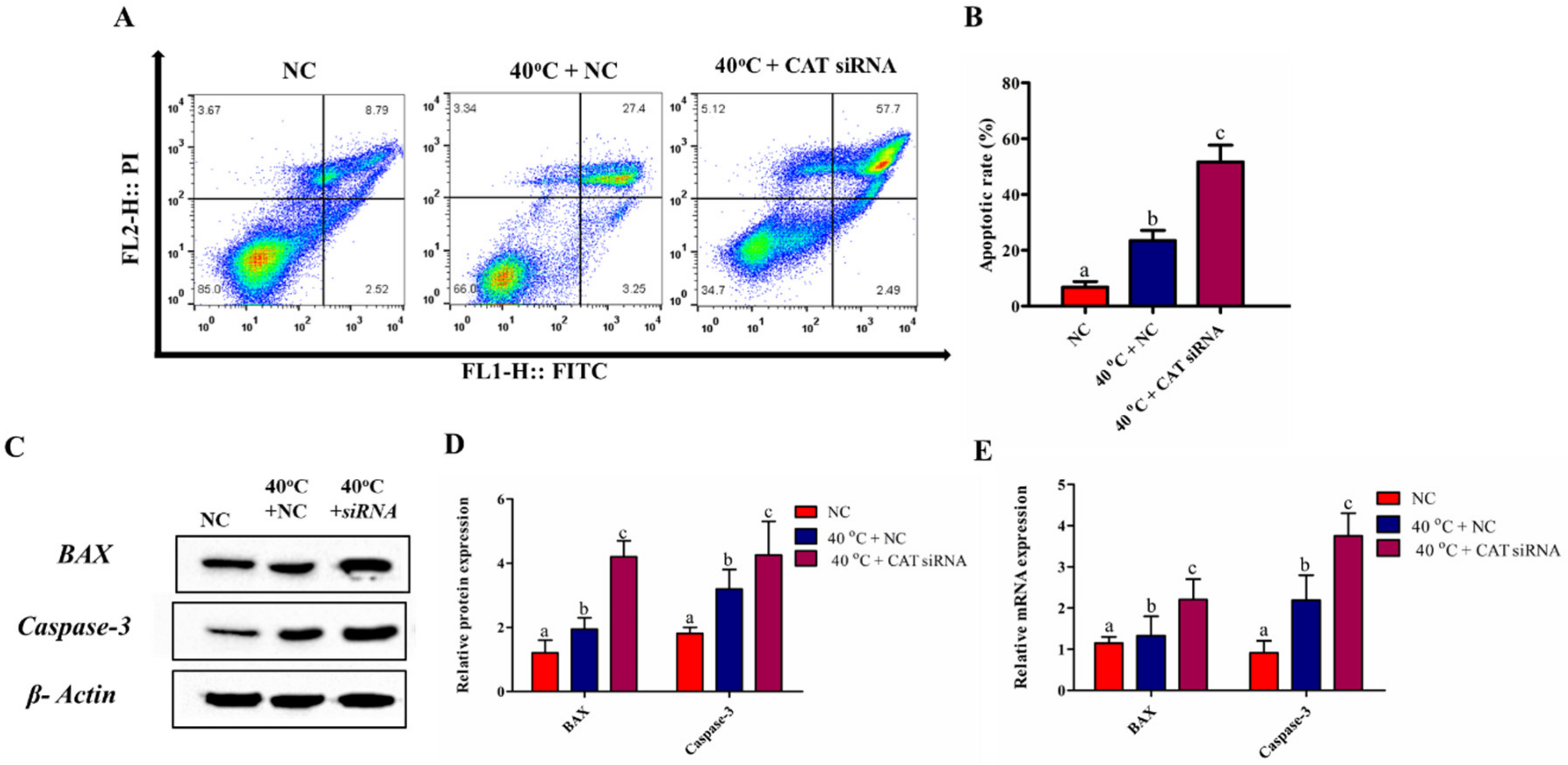 Animals 10 01060 g005
