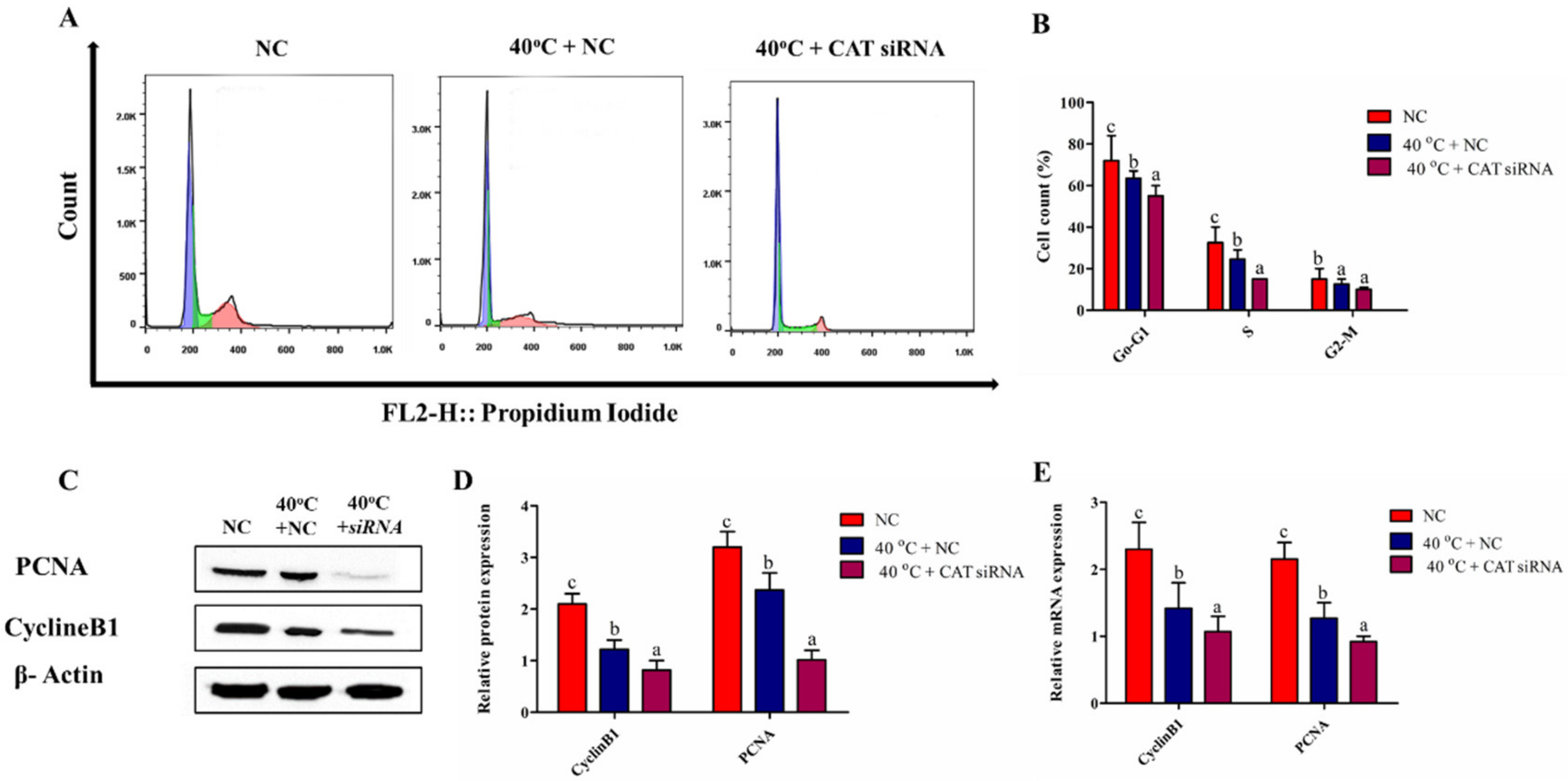Animals 10 01060 g006