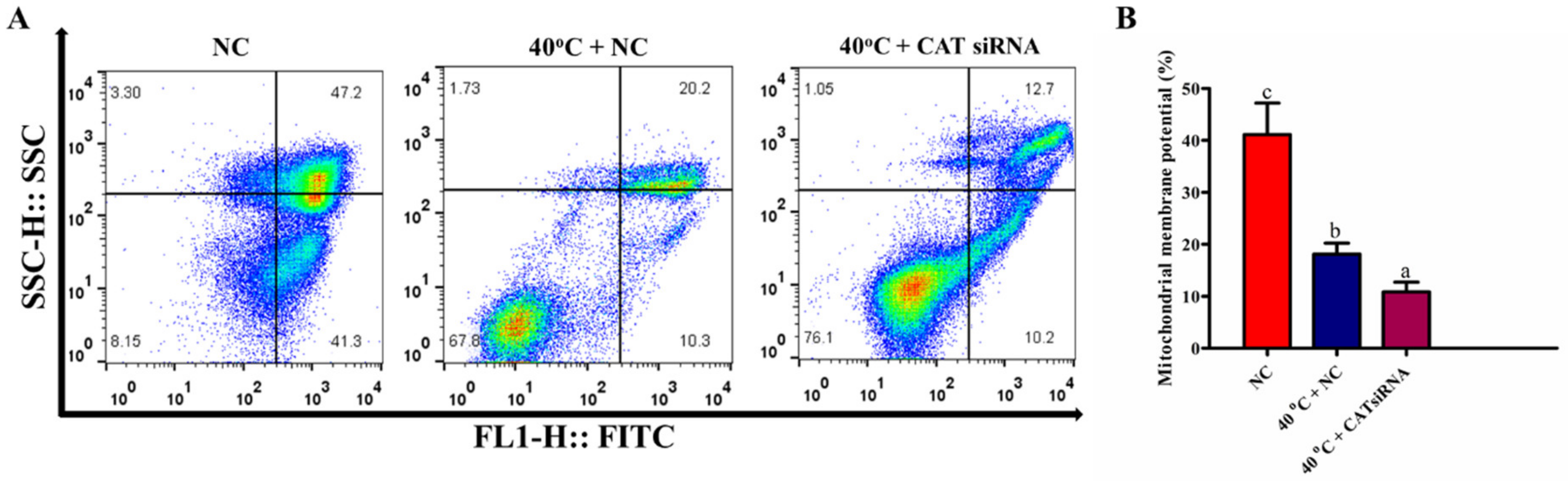 Animals 10 01060 g007