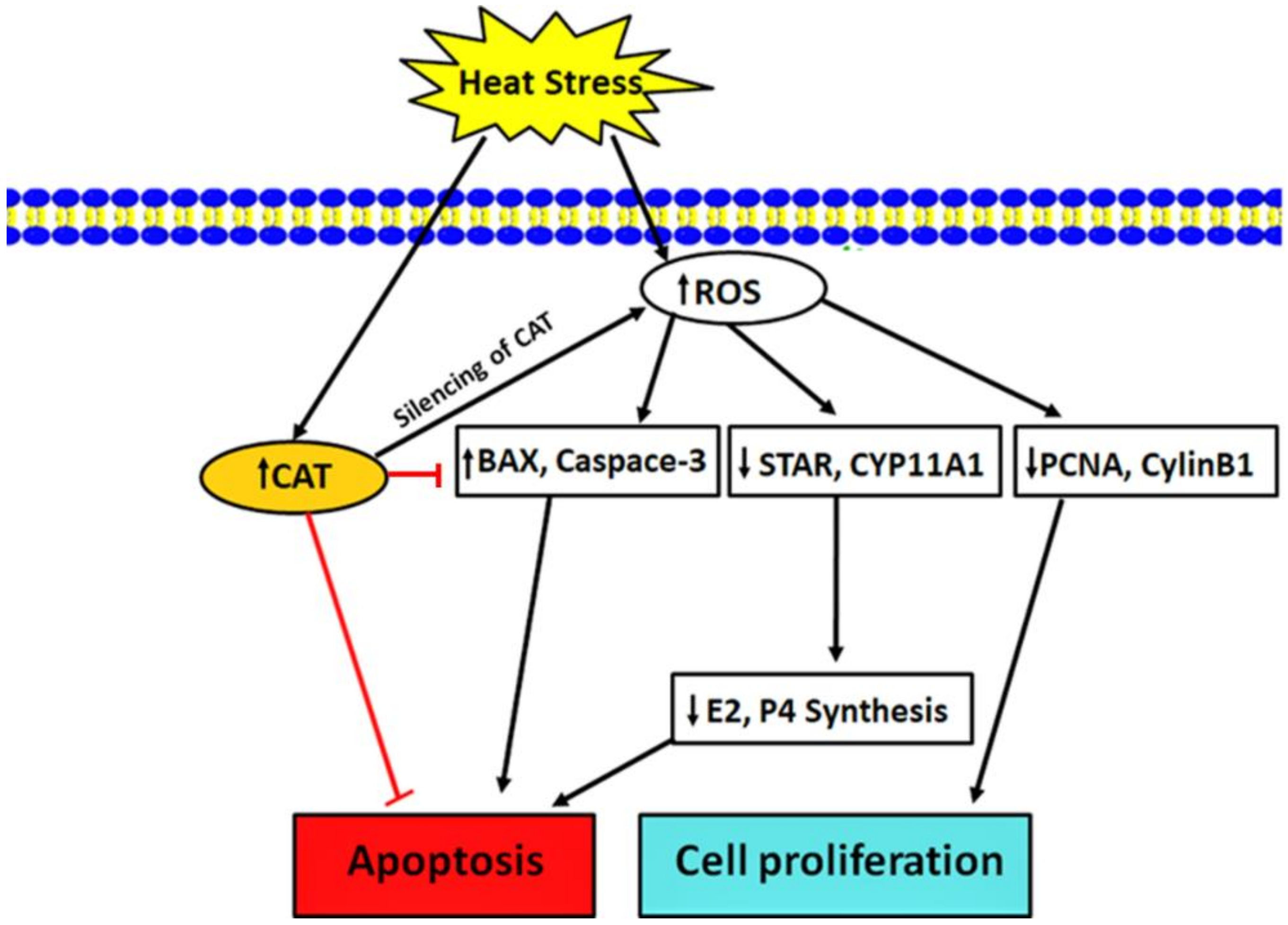 Animals 10 01060 g009