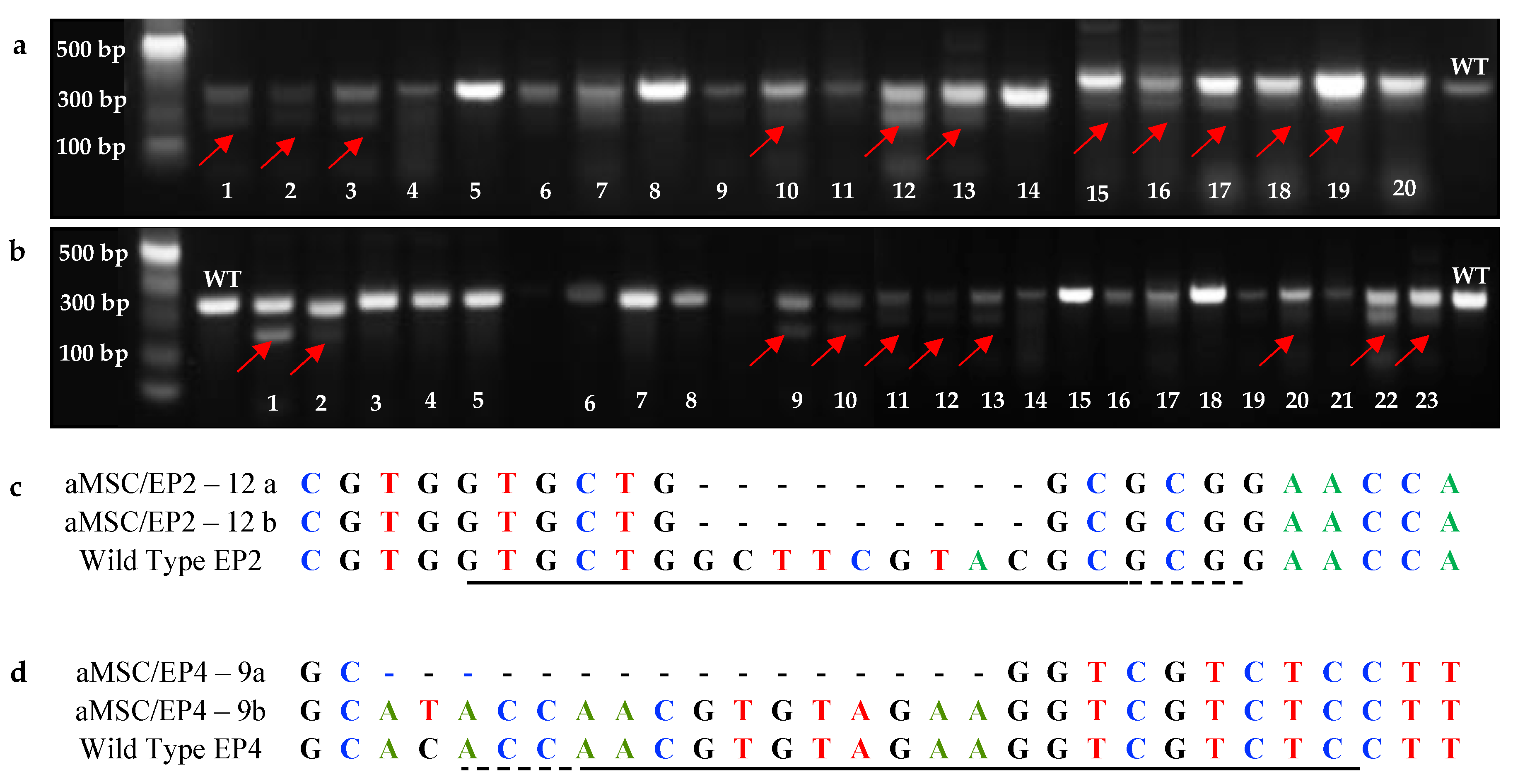 Animals 10 01078 g003 Animals 10 01078 g003