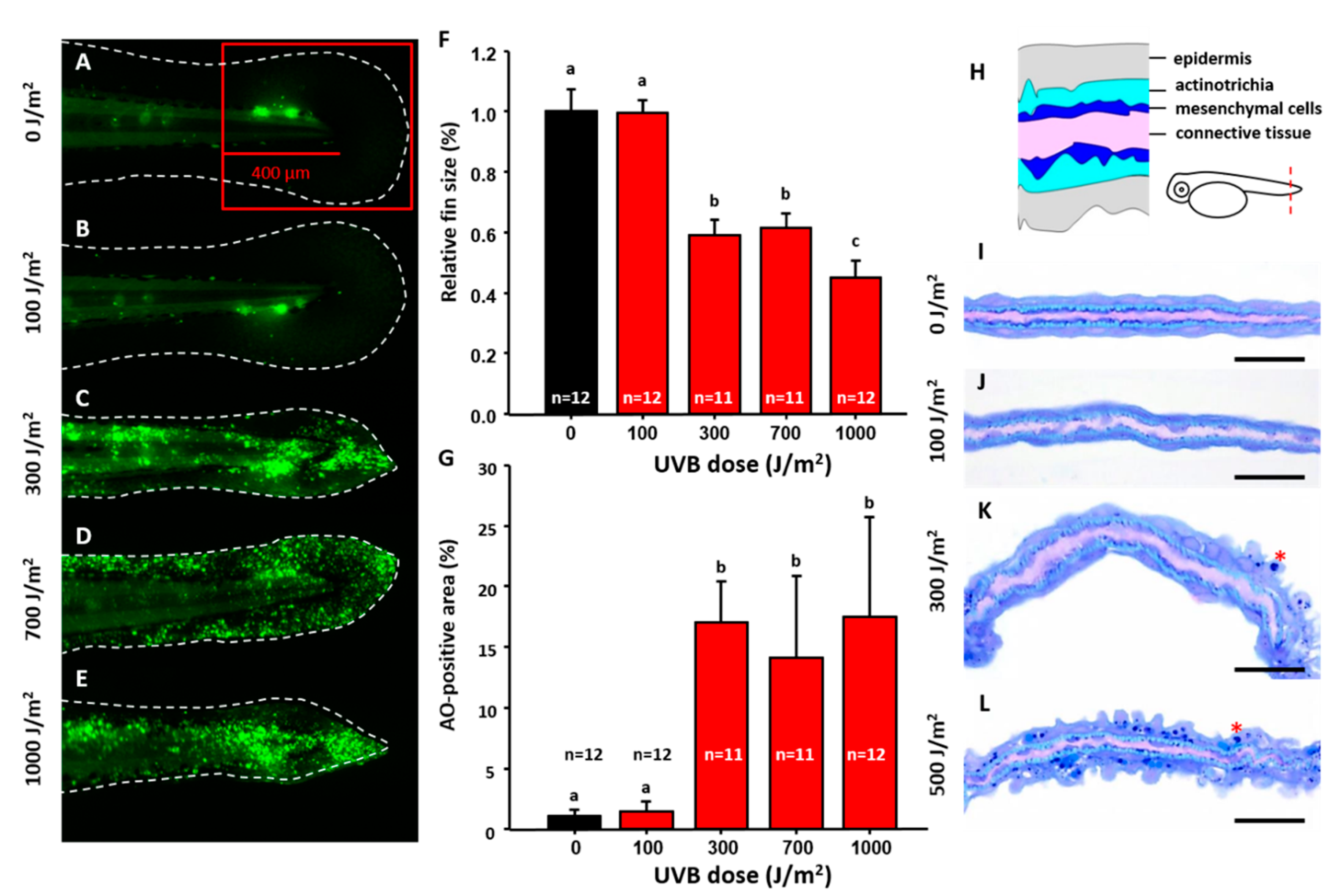 Animals 10 01096 g001