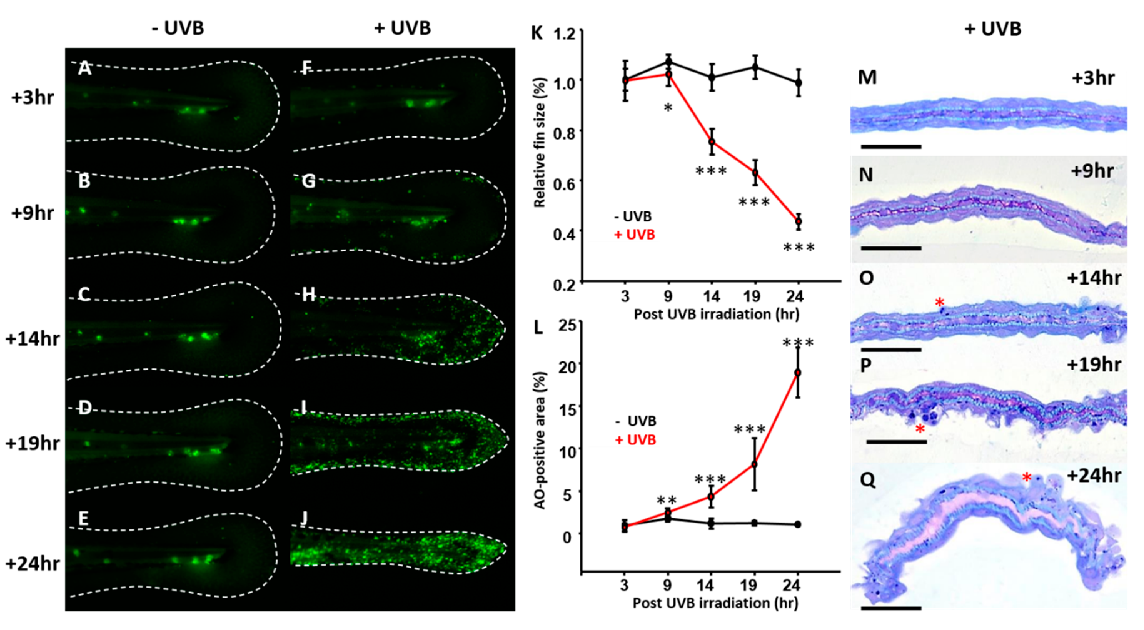 Animals 10 01096 g002