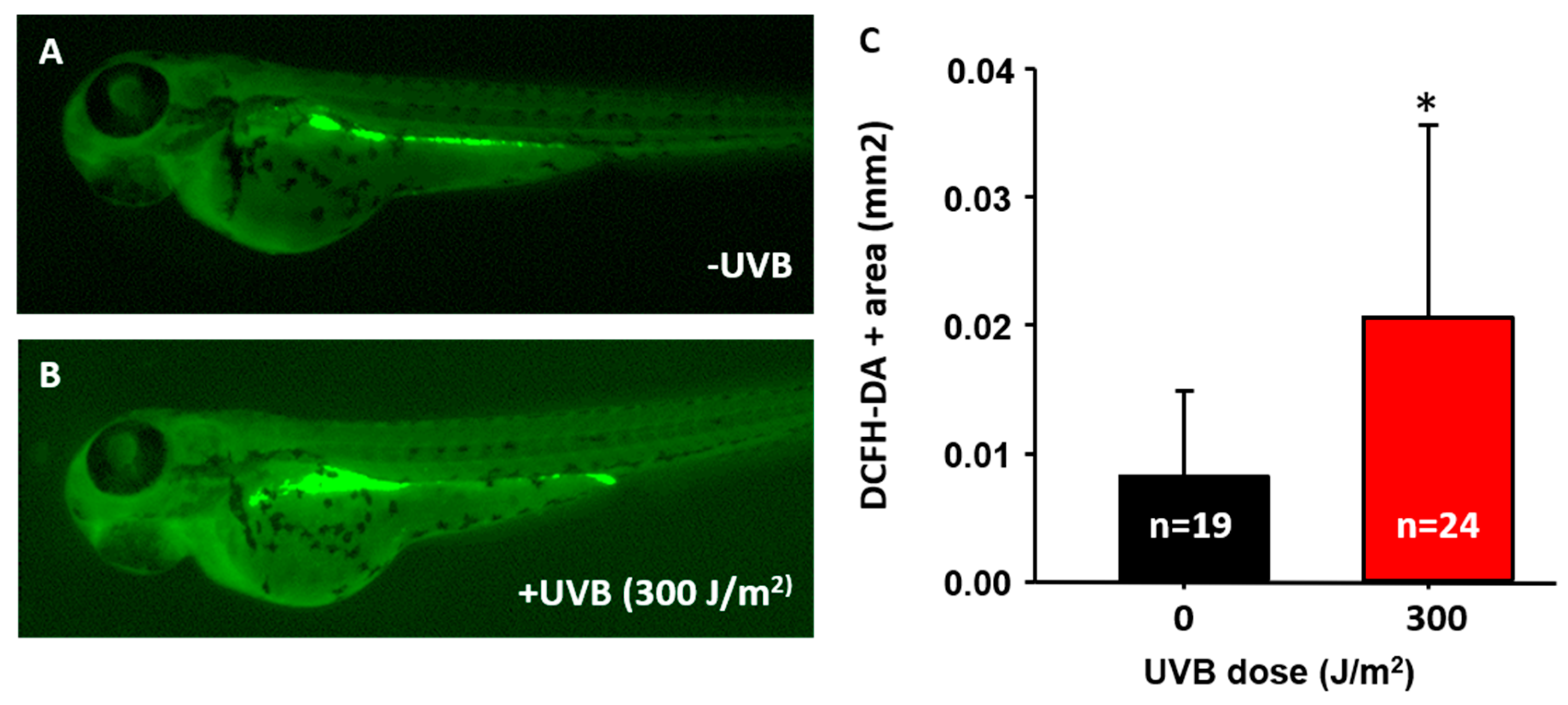 Animals 10 01096 g004