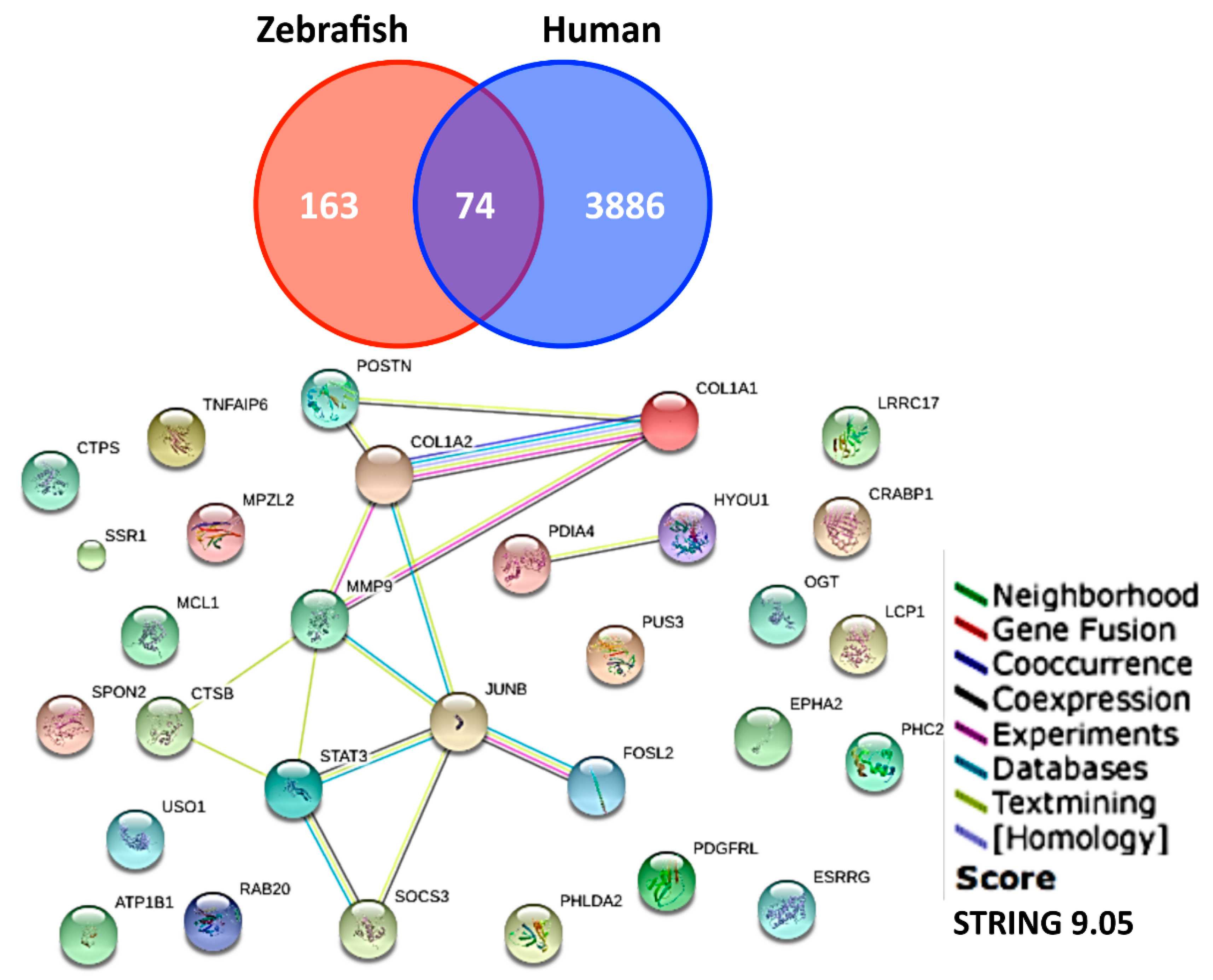 Animals 10 01096 g007