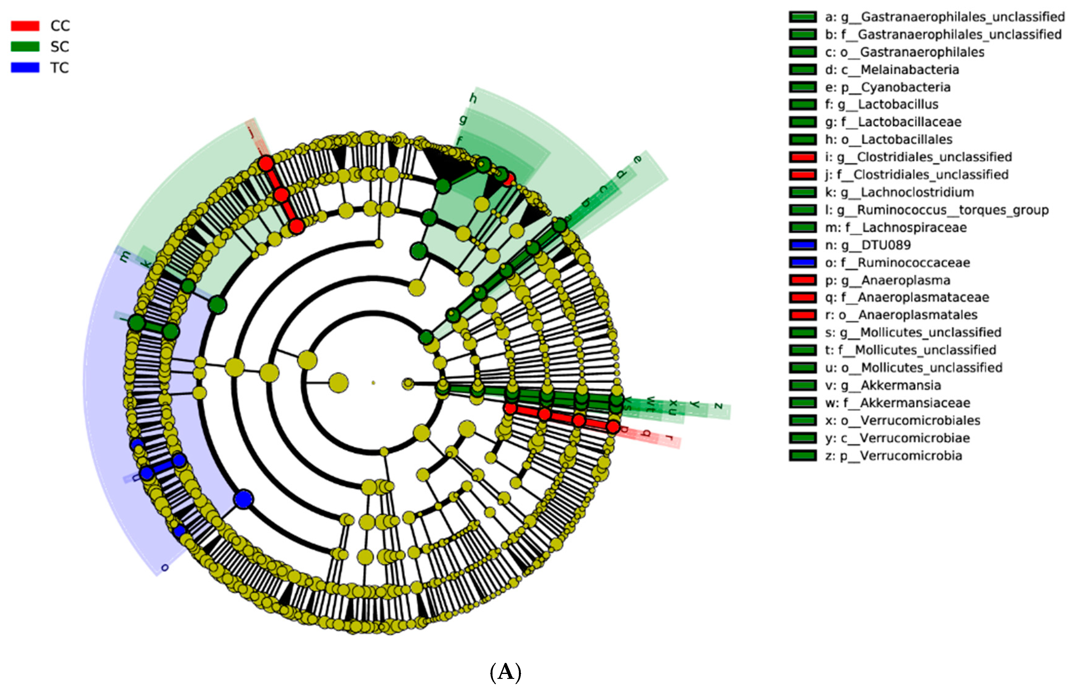 Animals 10 01098 g004a Animals 10 01098 g004a