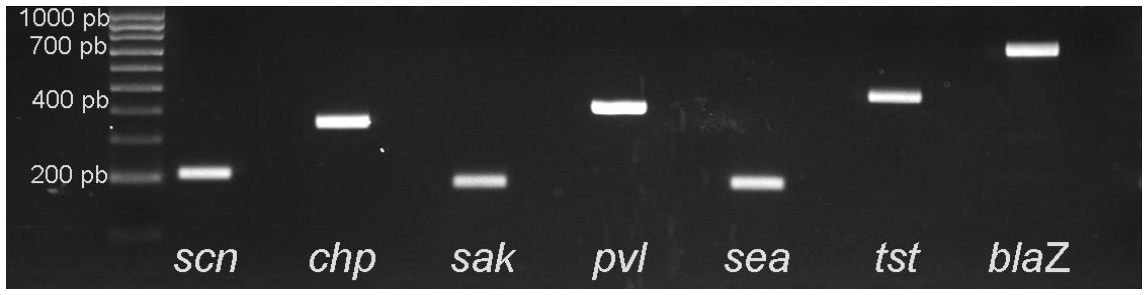 Animals 10 01109 g002 Animals 10 01109 g002