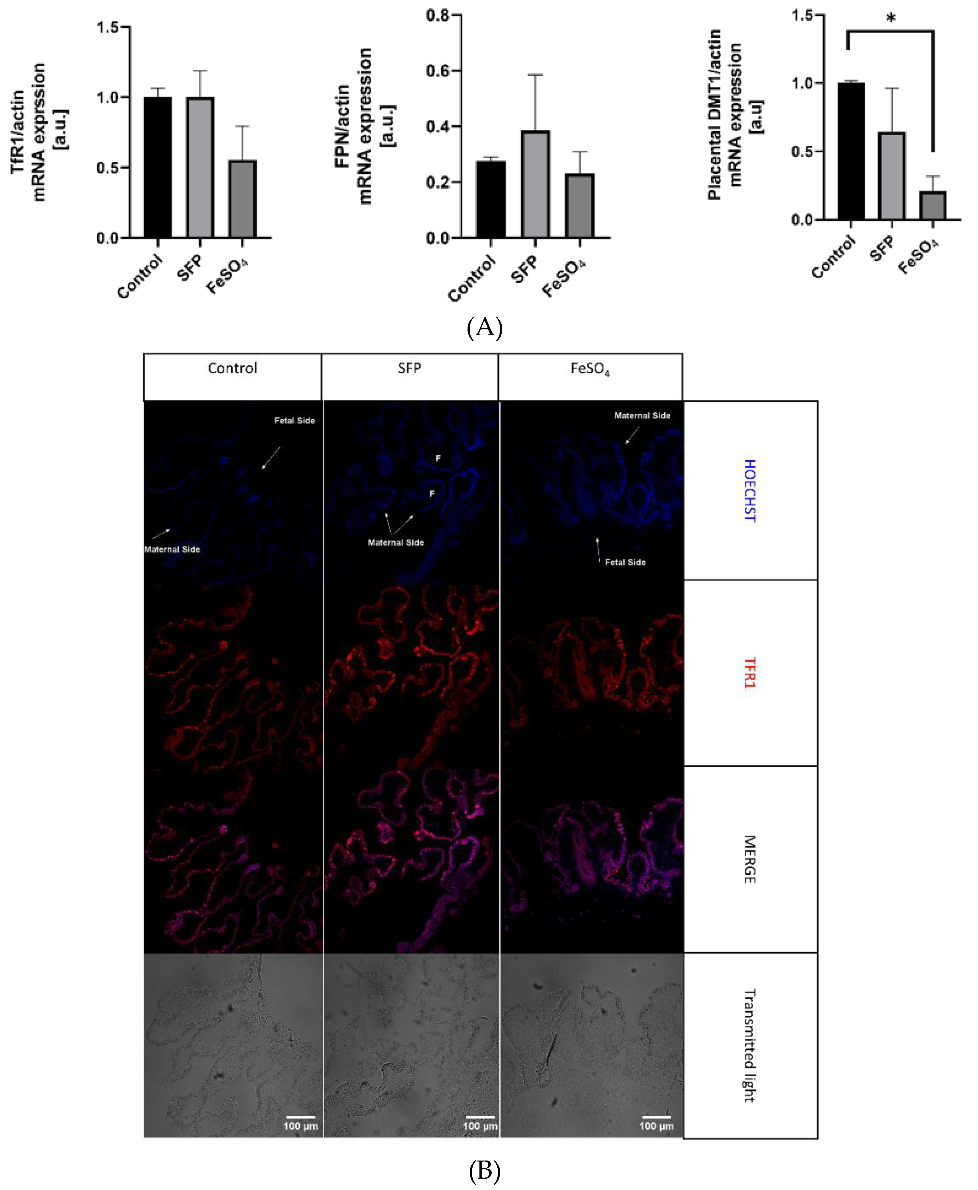 Animals 10 01113 g005a Animals 10 01113 g005a