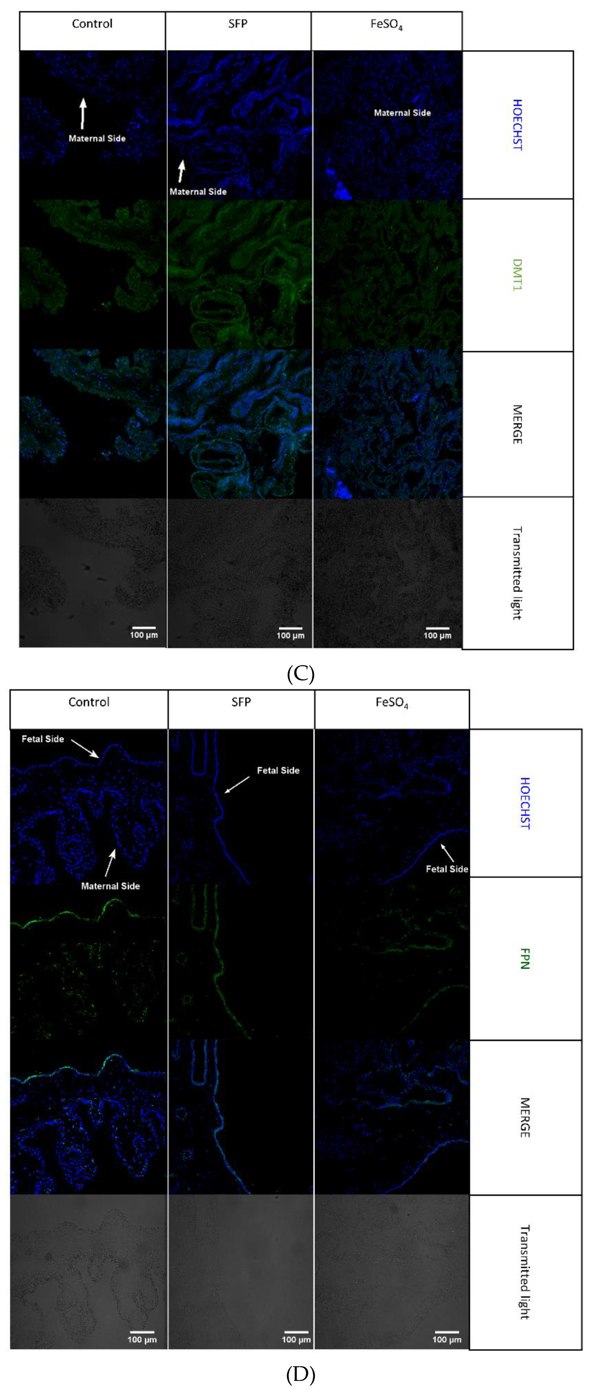 Animals 10 01113 g005b Animals 10 01113 g005b