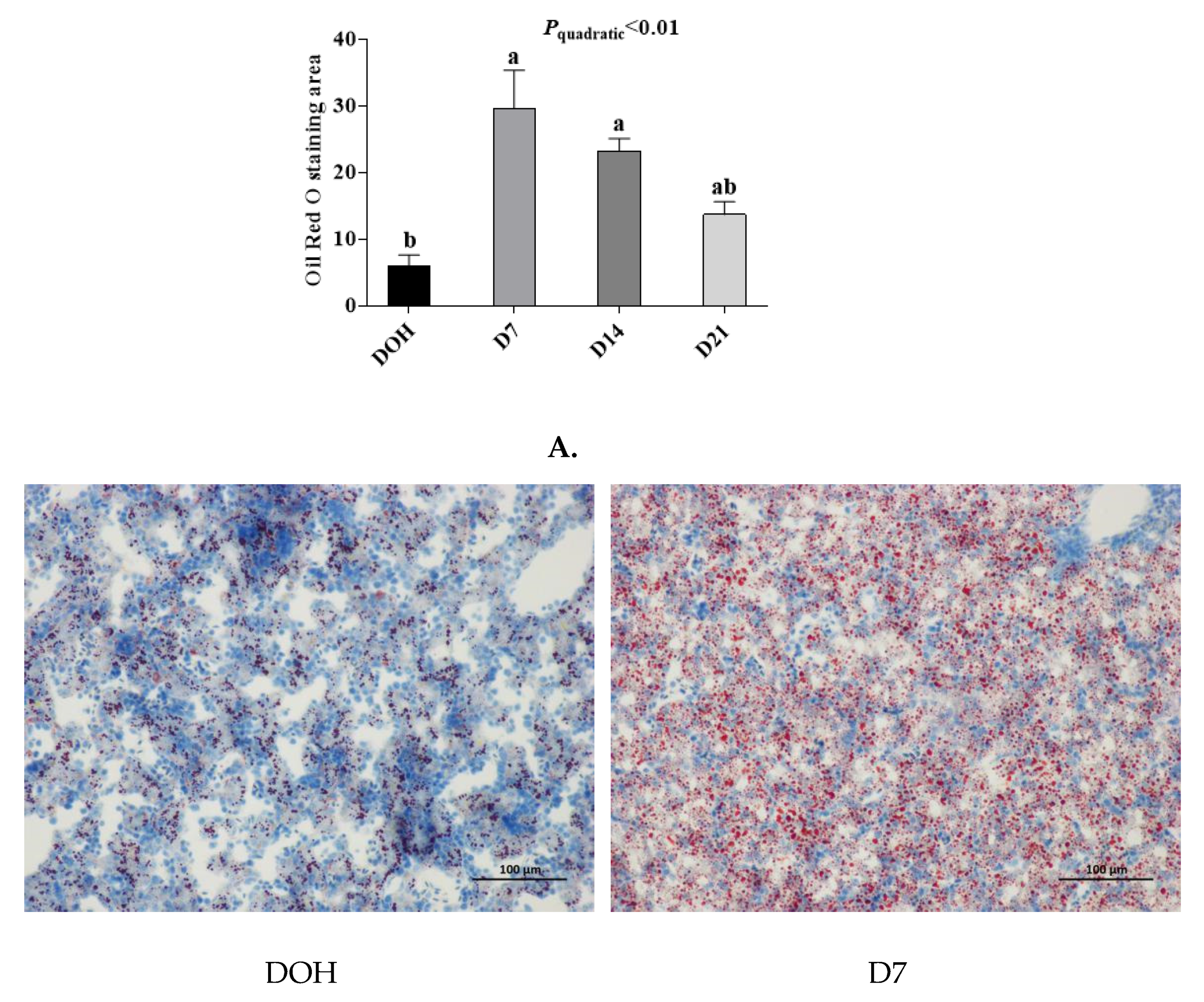 Animals 10 01121 g006a