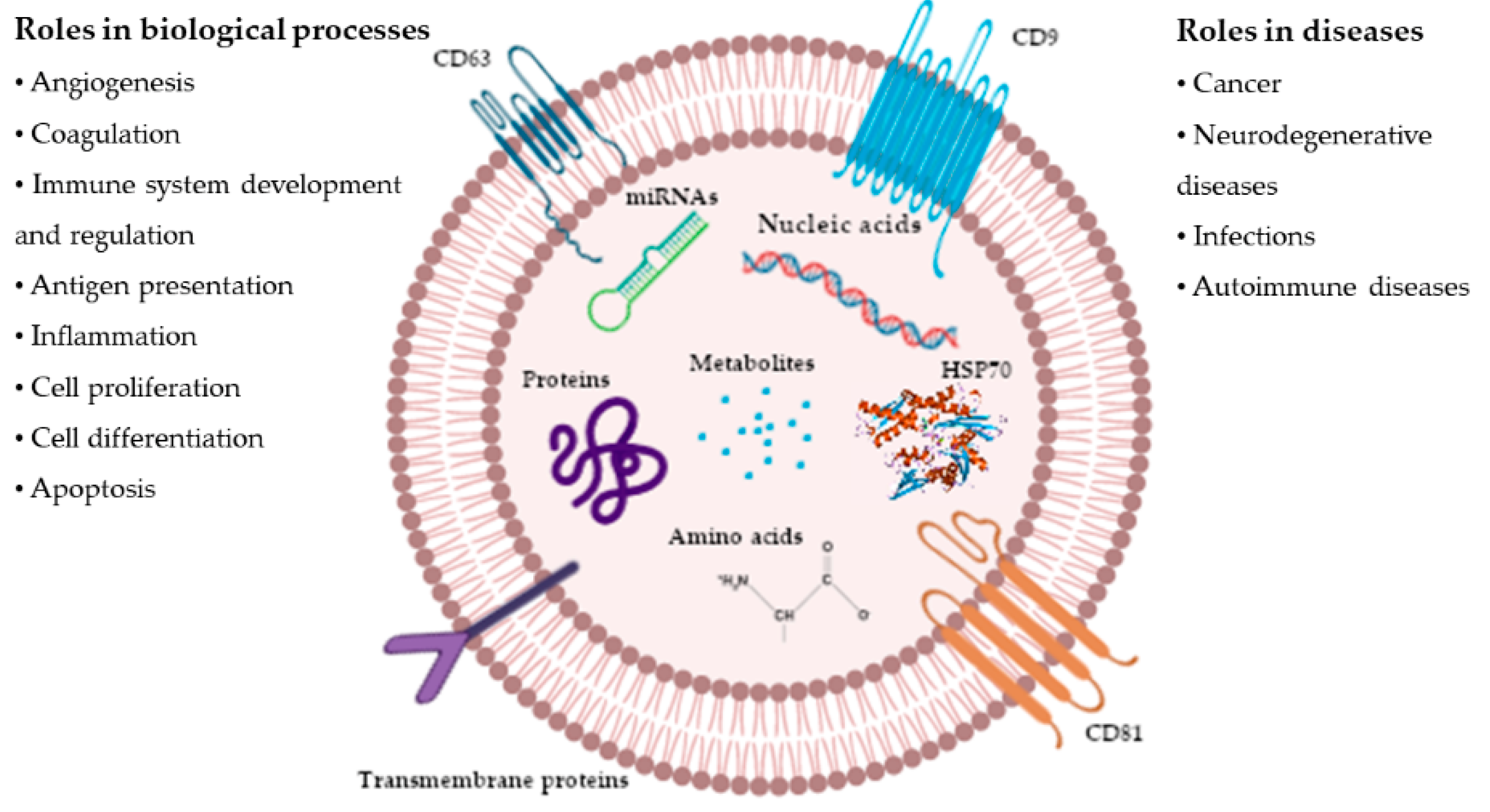 Animals 10 01126 g001 Animals 10 01126 g001