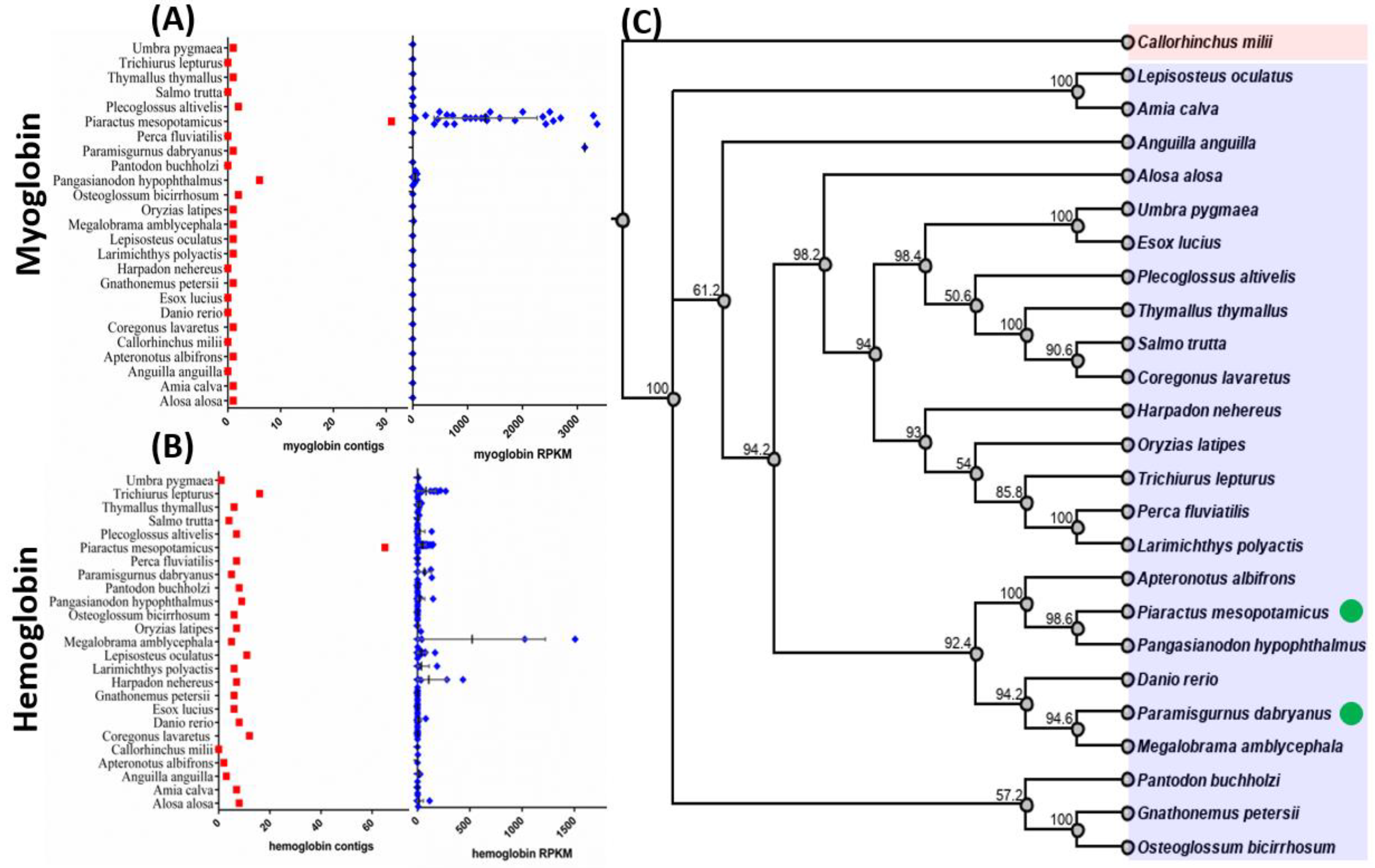 Animals 10 01130 g002 Animals 10 01130 g002