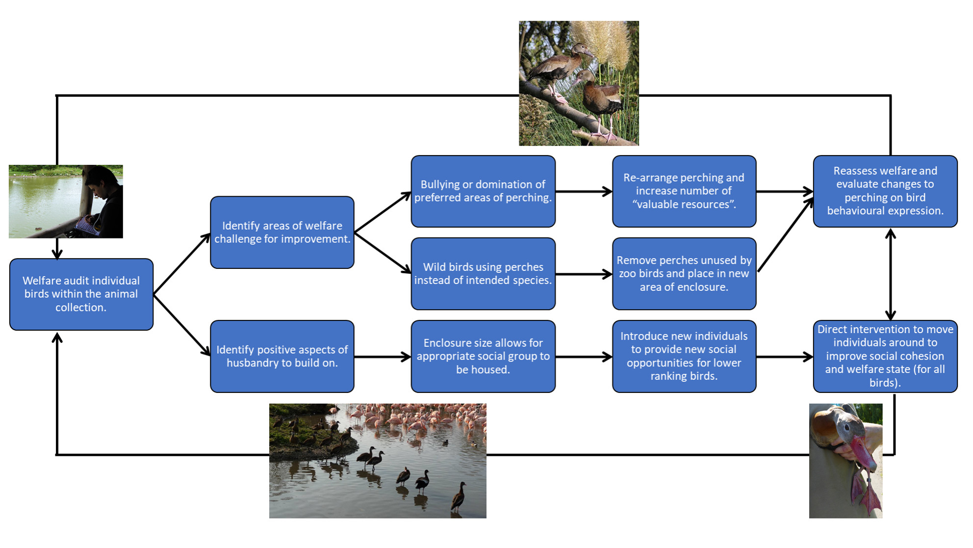 summarise key factors to consider when planning assessment